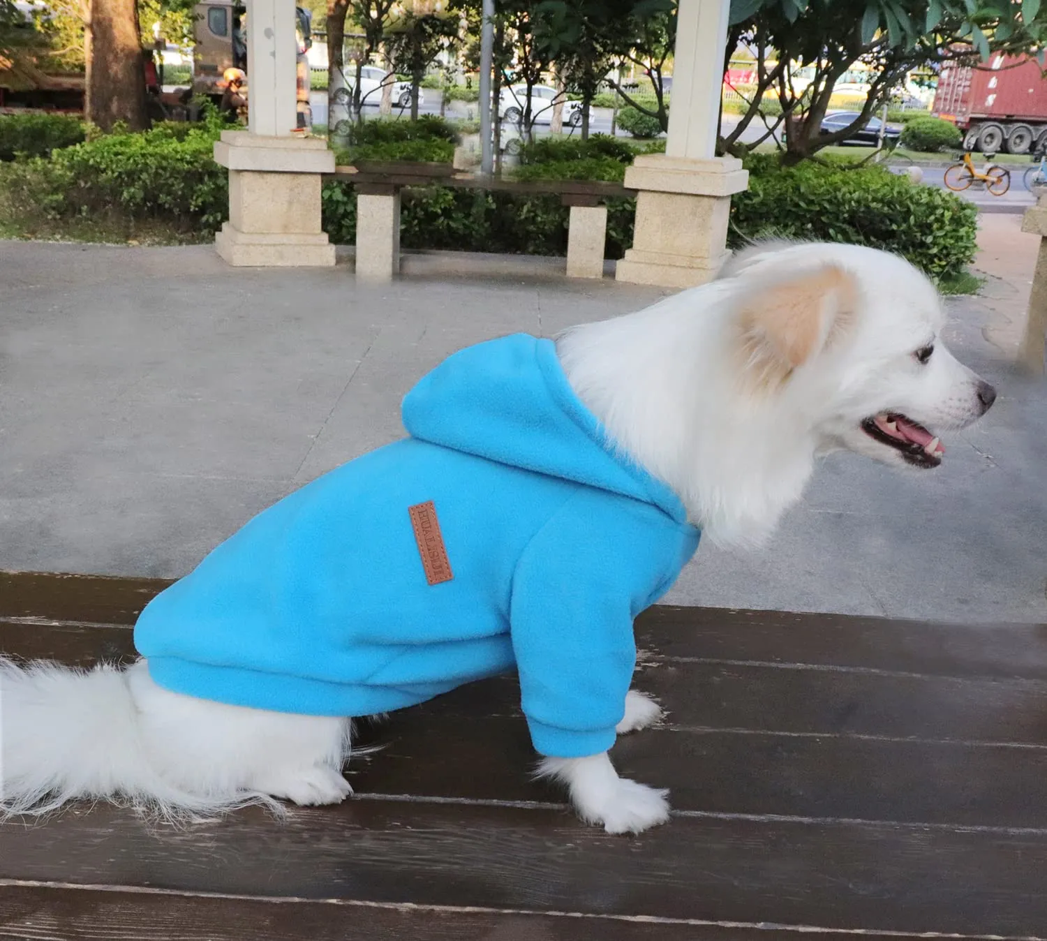 HuaLiSiJi Felpa con Cappuccio per Cani di Piccola Taglia, Blu+Grigio, L - immagine 4