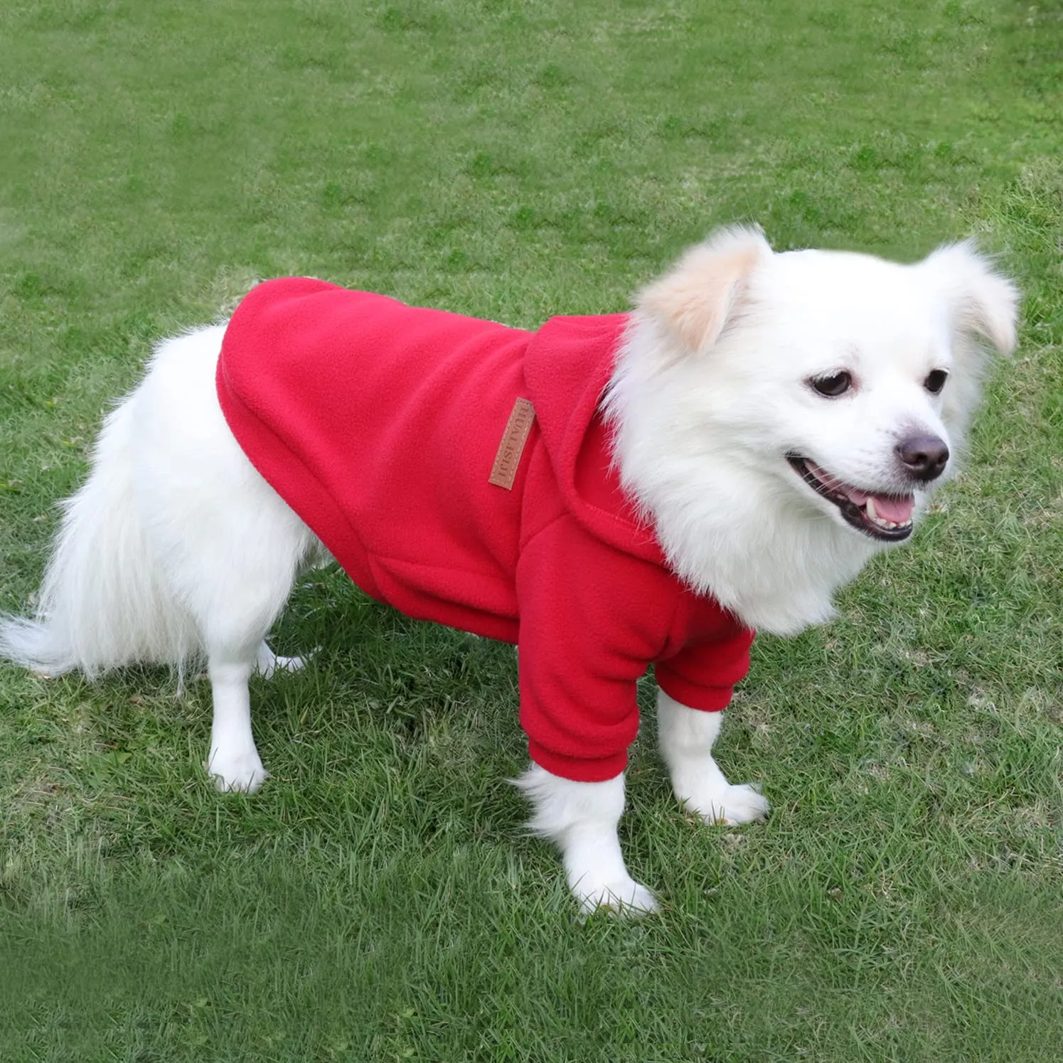 HuaLiSiJi Felpe con Cappuccio per Cani (XXL, Rosso+Blu) - immagine 4