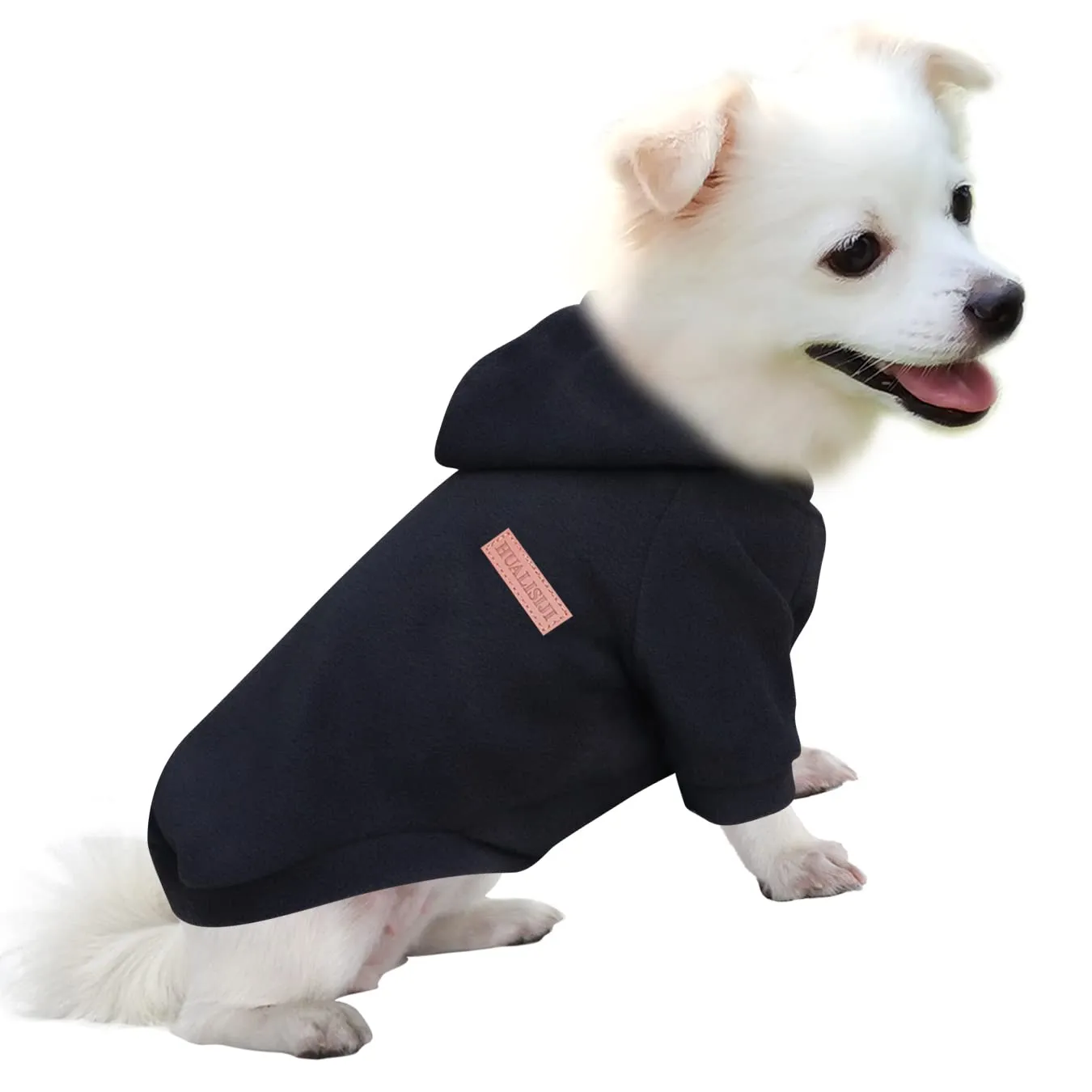 HuaLiSiJi Felpa con Cappuccio per Cani Piccola Taglia, Nero, L - immagine 1