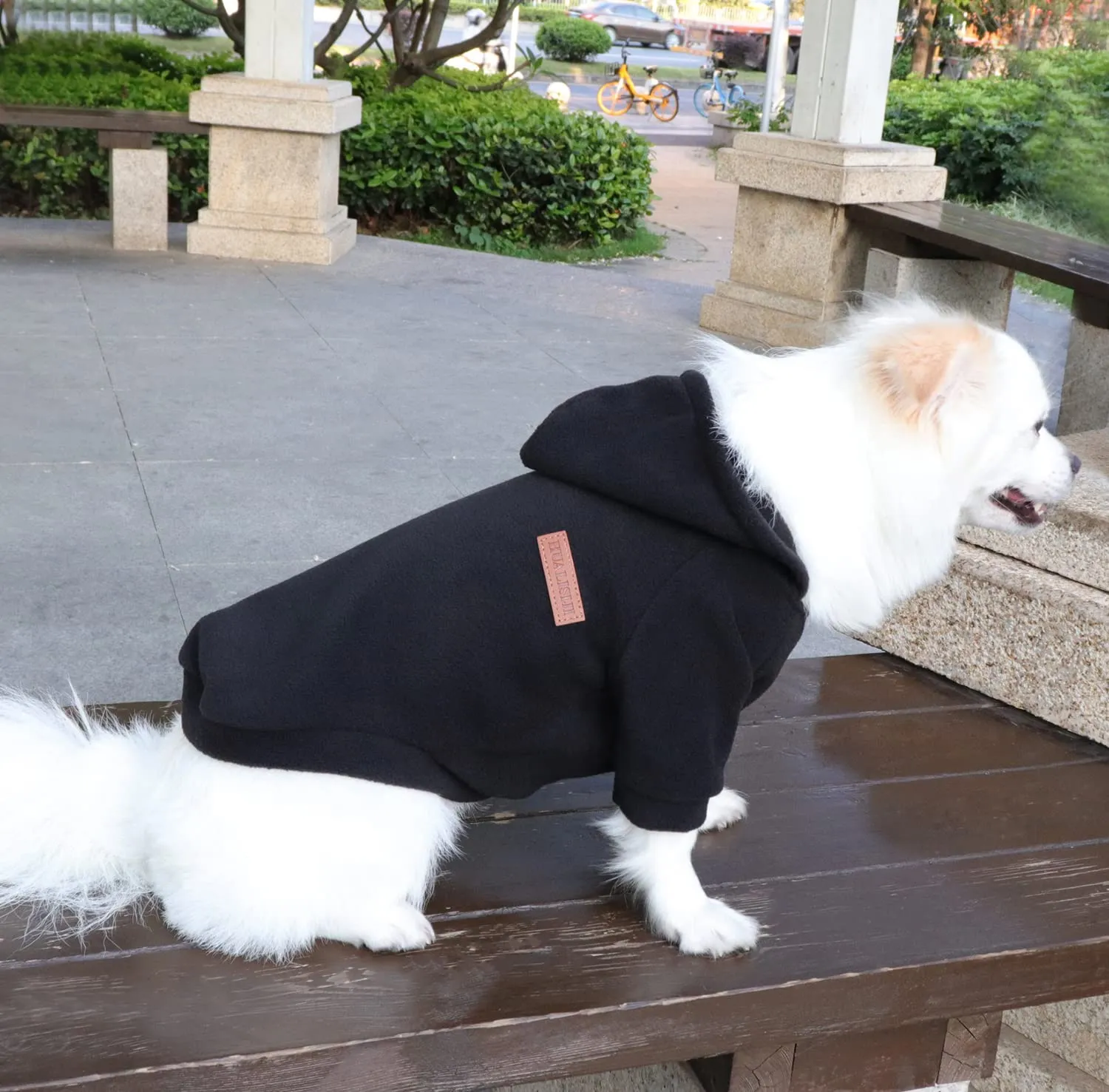 HuaLiSiJi Felpa con Cappuccio per Cani, XL, Nero - immagine 4