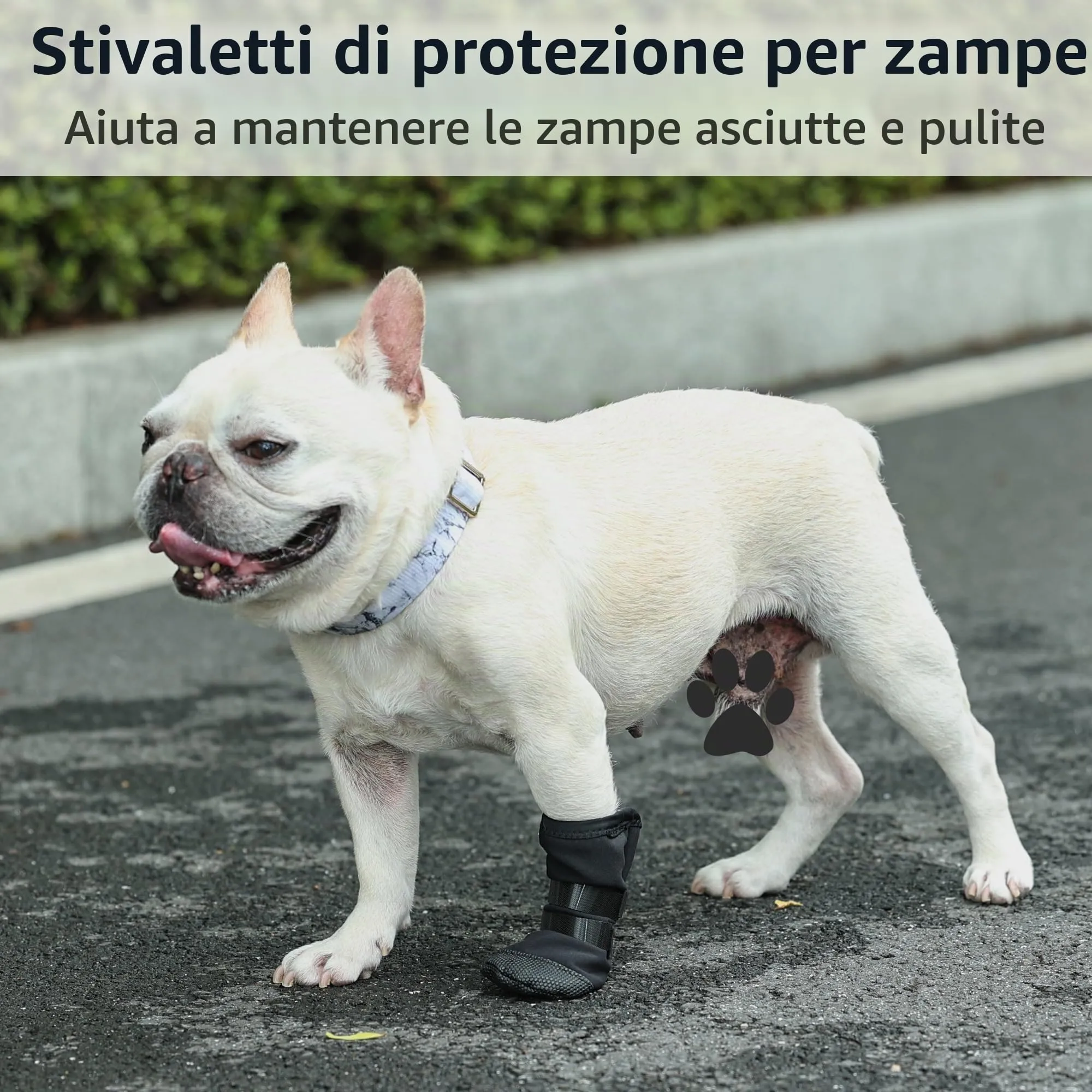 PPGGOPP Calze di Protezione e Recupero in Silicone per Cani e Gatti, Antiscivolo per Ferite e Post-Operatorio, Taglia XL - immagine 4