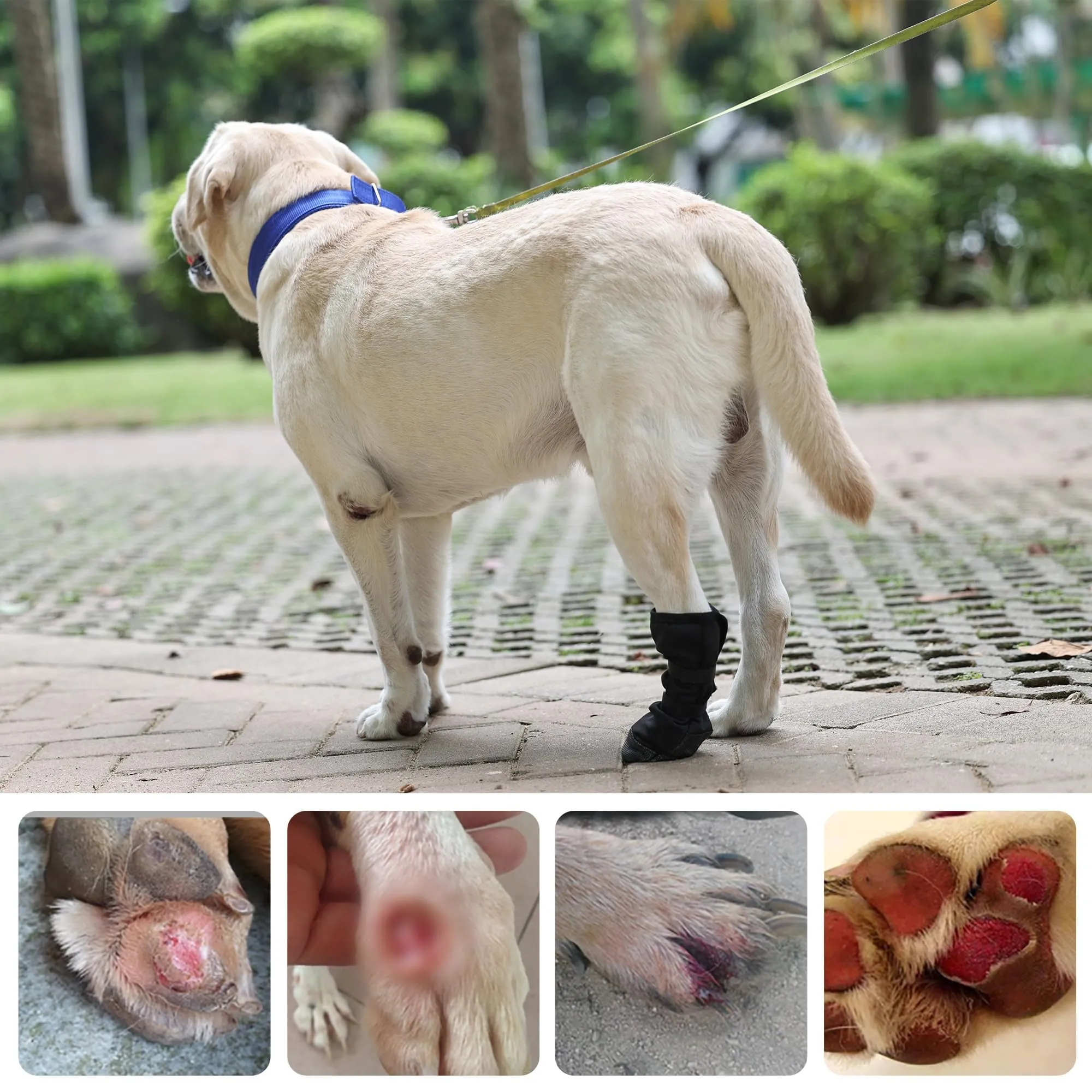 PPGGOPP Calze di Protezione e Recupero per Cani e Gatti, Stivali Protettivi in Silicone Antiscivolo per Ferite, Taglia L - immagine 6