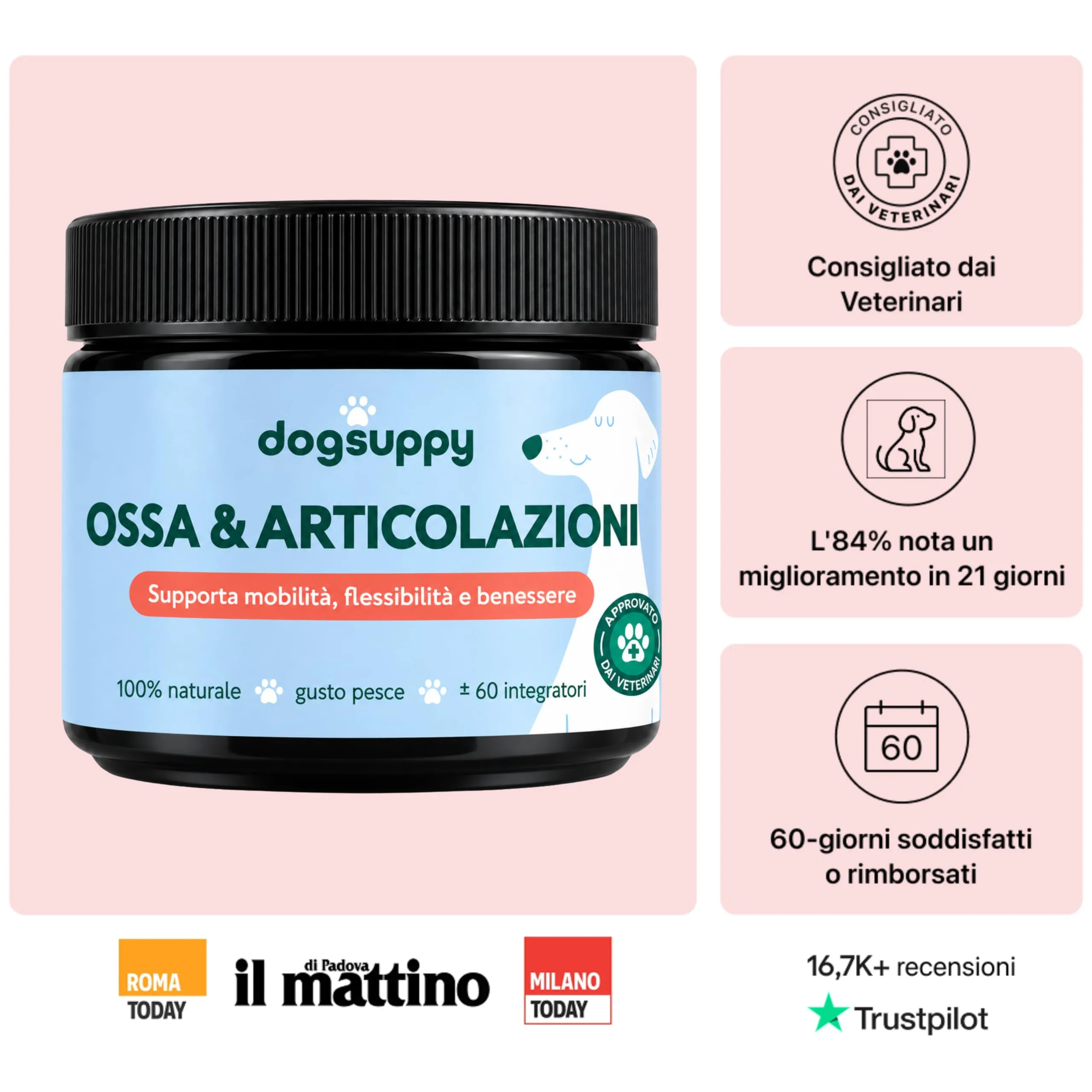 DogSuppy Ossa & Articolazioni con Glucosamina, Collagene, Cozza Verde e MSM per Cani, 60 Unità - immagine 2