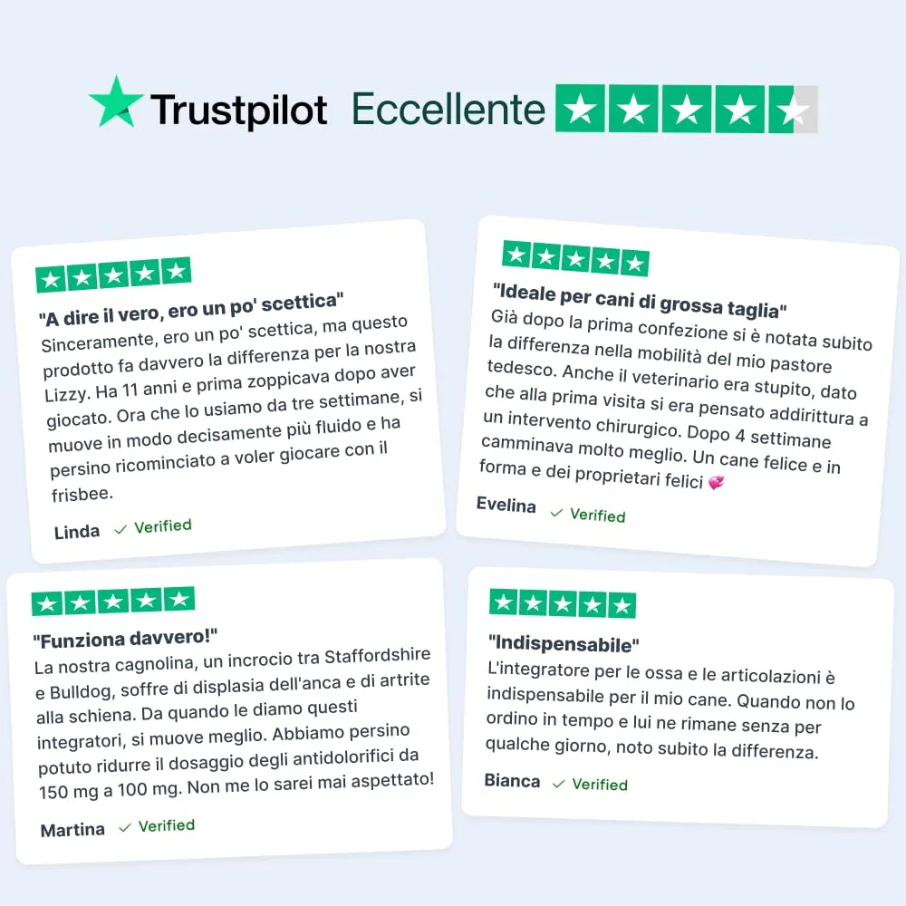 DogSuppy Ossa & Articolazioni con Glucosamina, Collagene, Cozza Verde e MSM per Cani, 60 Unità - immagine 4