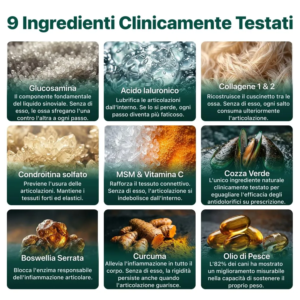 DogSuppy Ossa & Articolazioni con Glucosamina, Collagene, Cozza Verde e MSM per Cani, 60 Unità - immagine 5