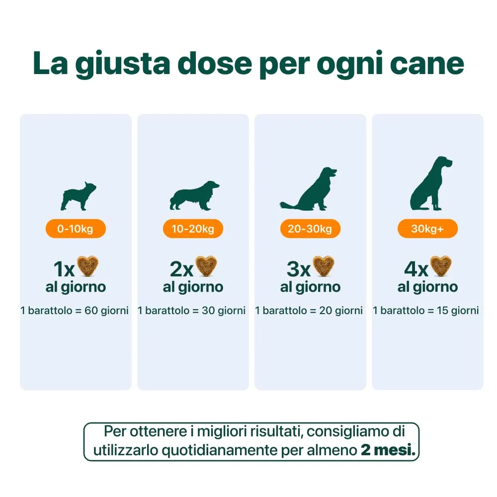 DogSuppy Ossa & Articolazioni con Glucosamina, Collagene, Cozza Verde e MSM per Cani, 60 Unità - immagine 8