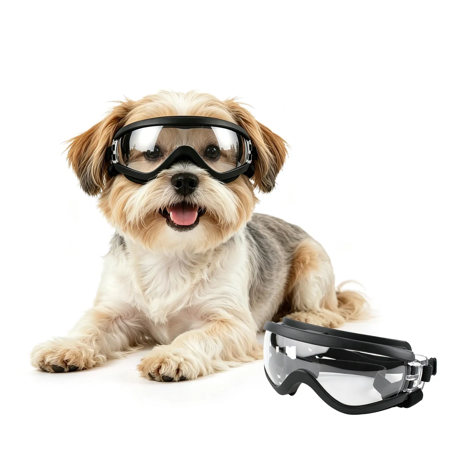 NAMSAN Occhiali da sole per cani di piccola taglia, regolabili, impermeabili, protezione UV, trasparenti - immagine 1