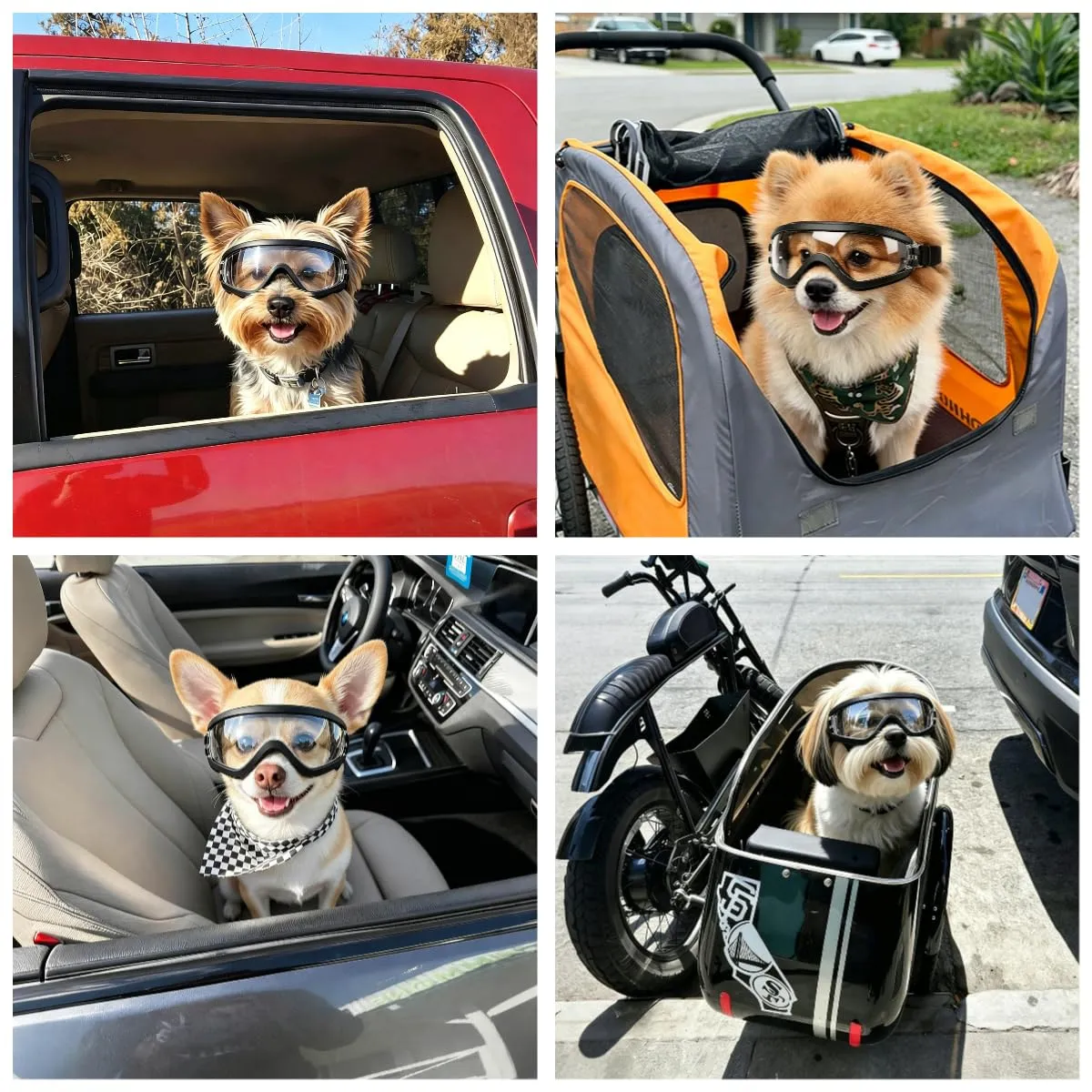 NAMSAN Occhiali da sole per cani di piccola taglia, regolabili, impermeabili, protezione UV, trasparenti - immagine 2