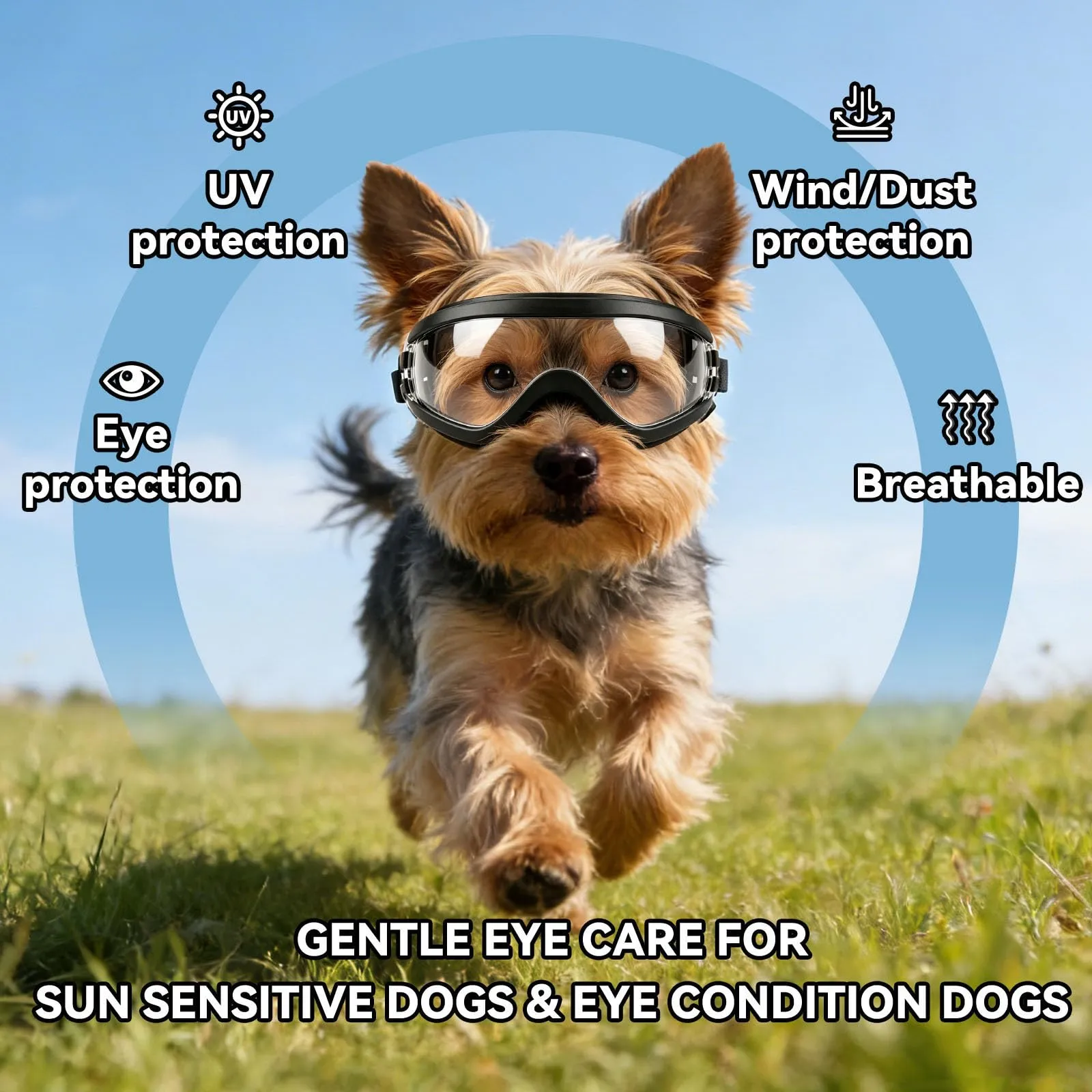 NAMSAN Occhiali da sole per cani di piccola taglia, regolabili, impermeabili, protezione UV, trasparenti - immagine 4