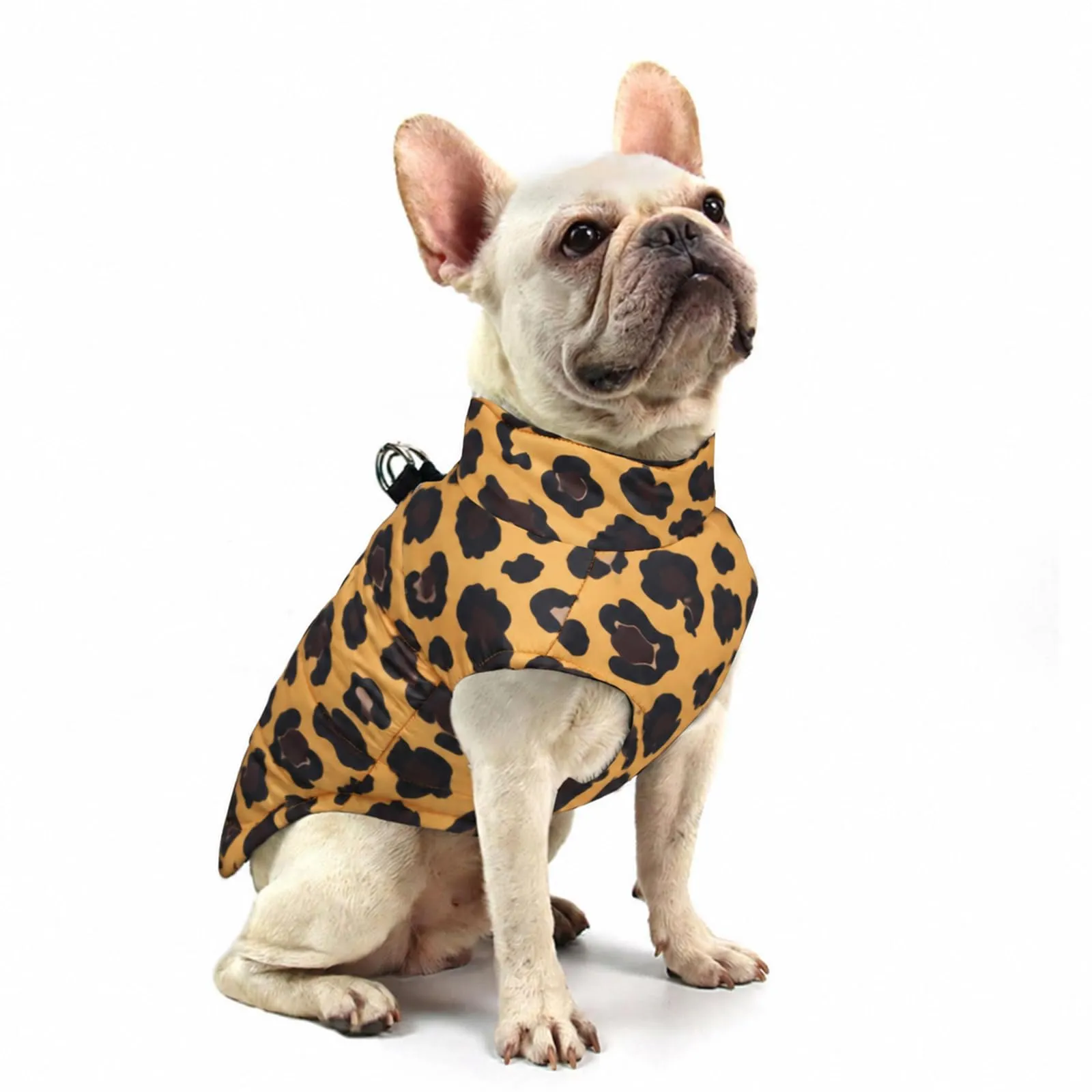 FEimaX Cappotto Impermeabile Invernale per Cani e Gatti, Giacca Antivento in Poliestere e Cotone, Taglia 4XL, Stampa Leopardata Gialla - immagine 9