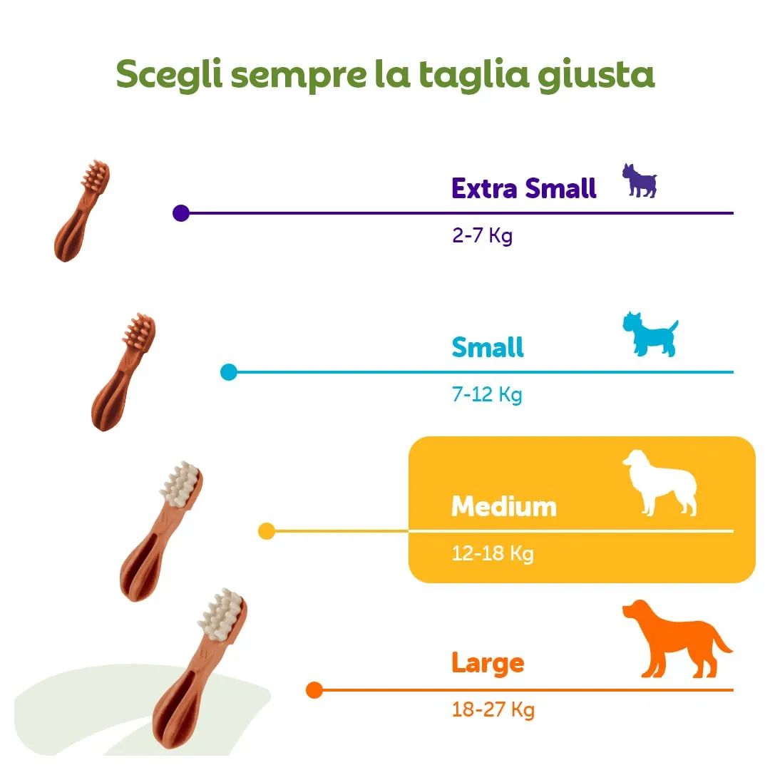 Whimzees Spazzolini da denti, Taglia M, 30 Pezzi - immagine 6