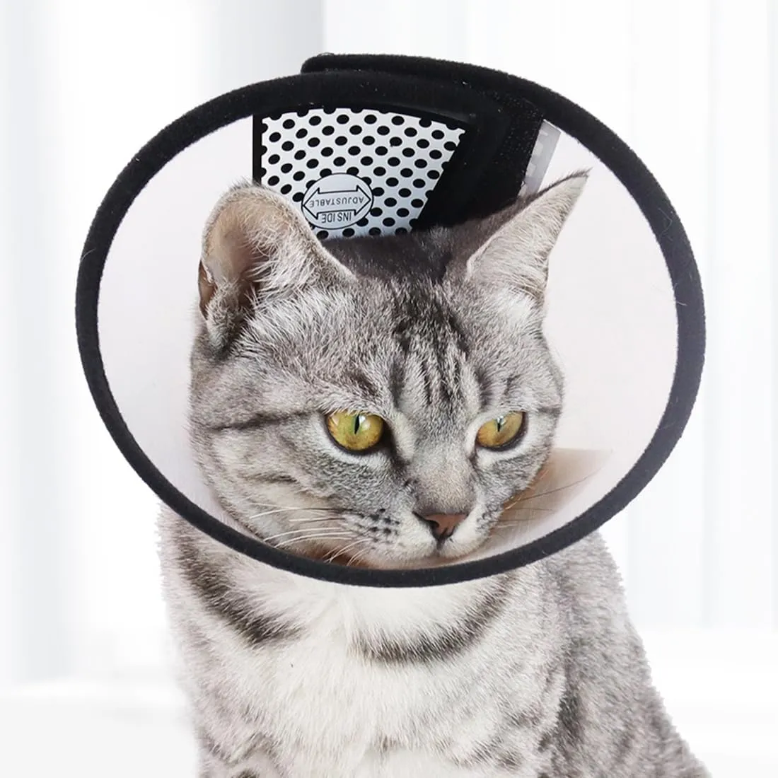 AFCJLTO Collare Elisabettiano Regolabile per Gatti, Mesh Traspirante, Taglia M (15-18 cm) - immagine 2