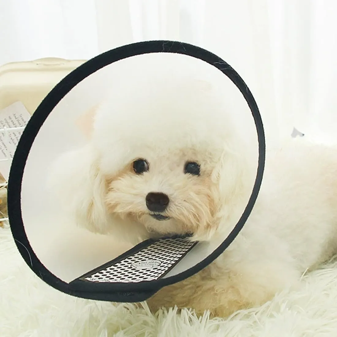 AFCJLTO Cône Collerette en Plastique Protecteur de Cou Réglable Anti-Morsure pour chats et petits chiens (27-31cm) - immagine 3