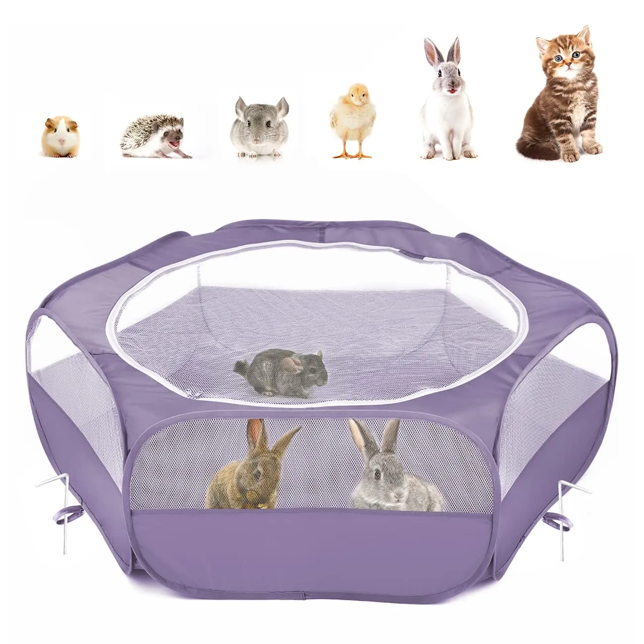 Pawaboo Recinto per piccoli animali con zip, Viola - immagine 1
