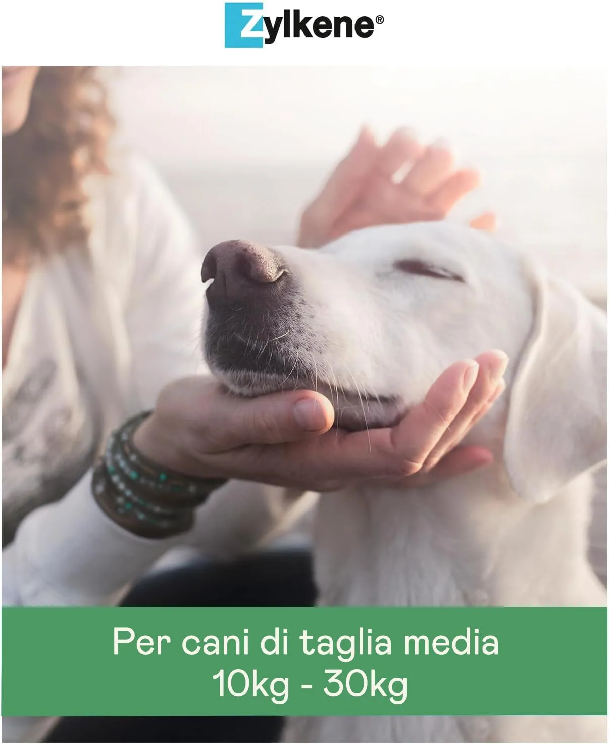 Vetoquinol Zylkene Mangime Complementare per Cani di Taglia Media (10-30 kg), 225 mg, 20 capsule - immagine 8