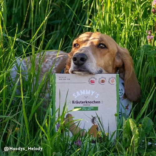 Sammy's Hundesnacks Ossa di erbe aromatiche con agnello, 5 kg - immagine 2