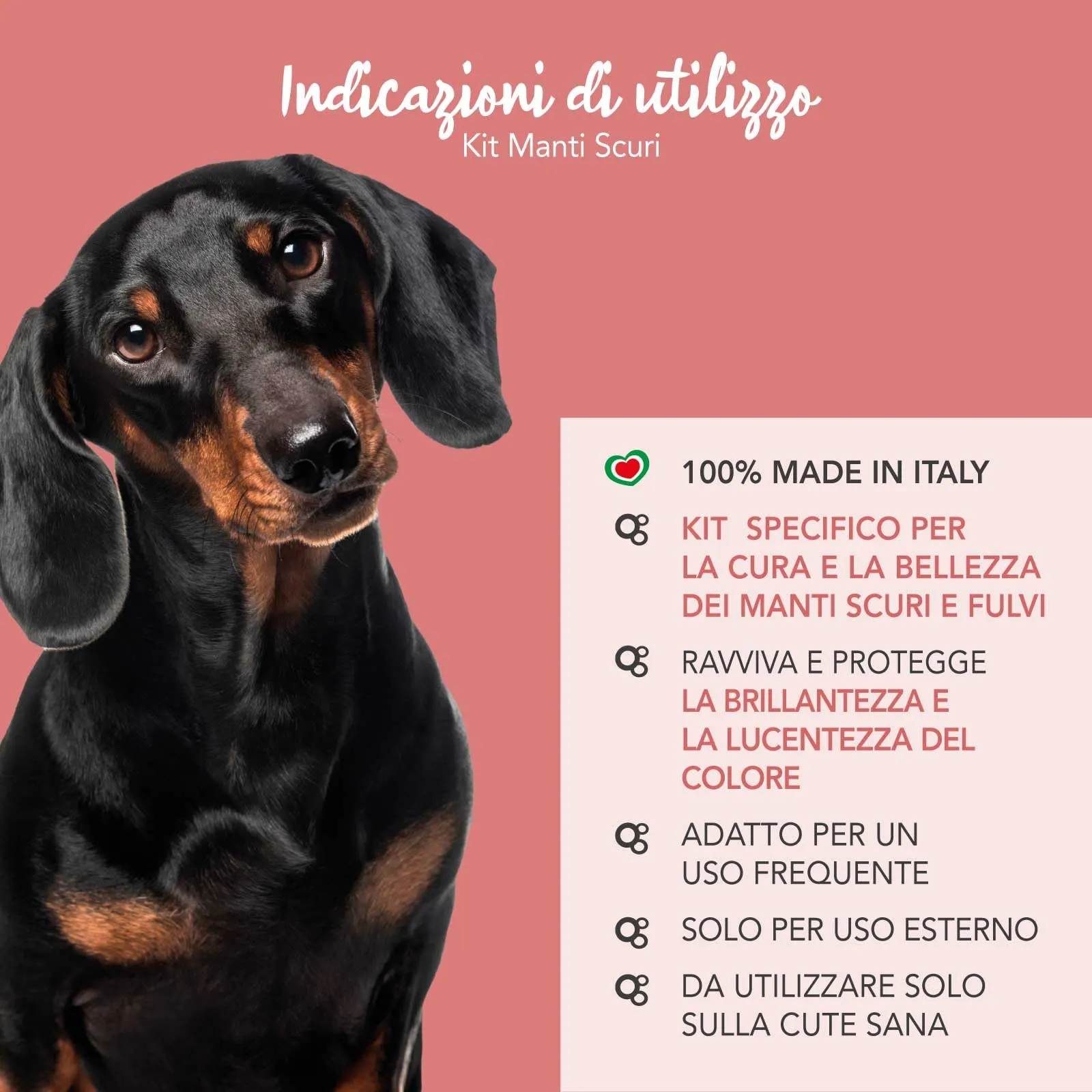 Yuup Kit Manti Scuri - Shampoo, Balsamo Districante e Pink Velvet per Cani e Gatti - immagine 4