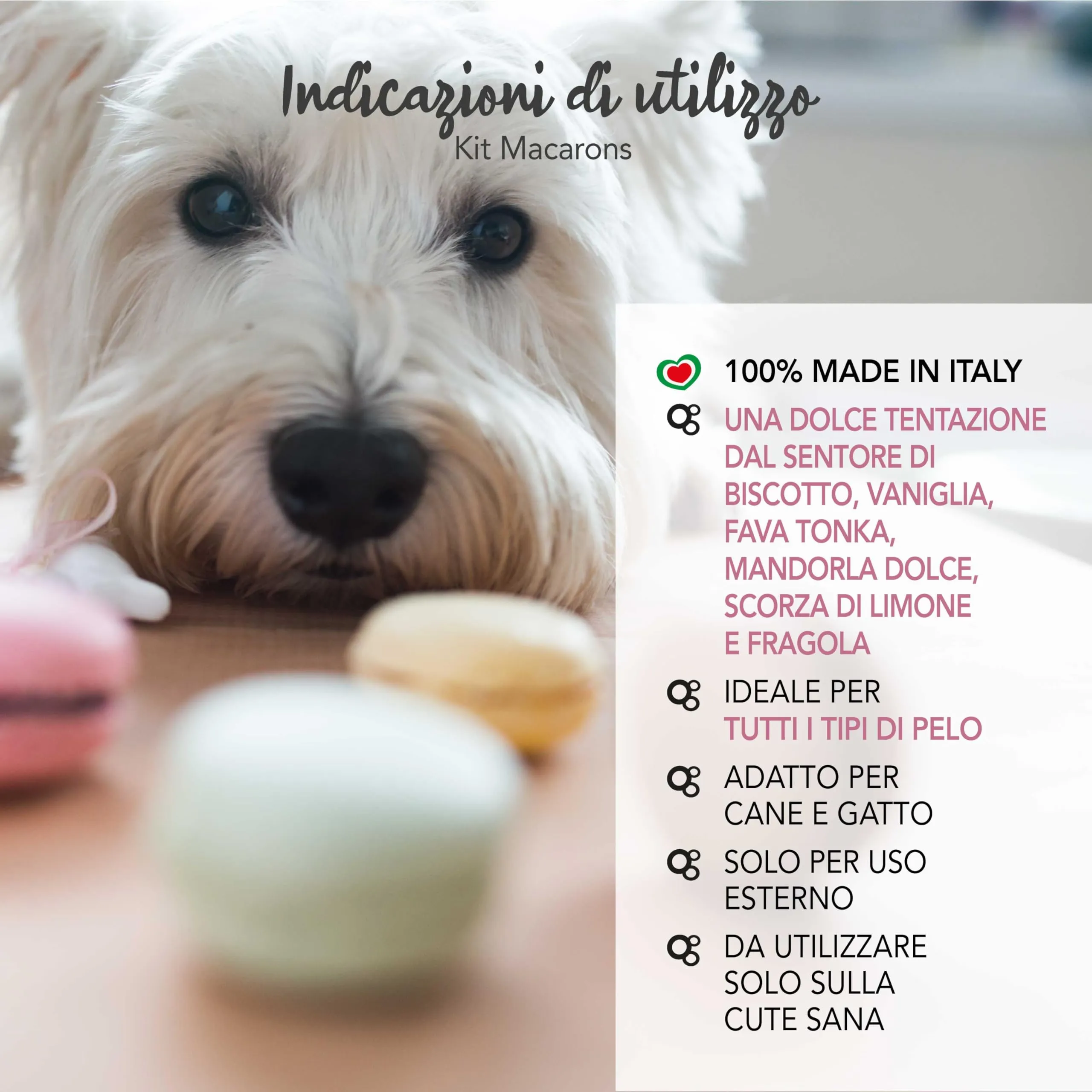 Yuup Macarons Duo Shampoo e Fragranza per cani e gatti - immagine 4