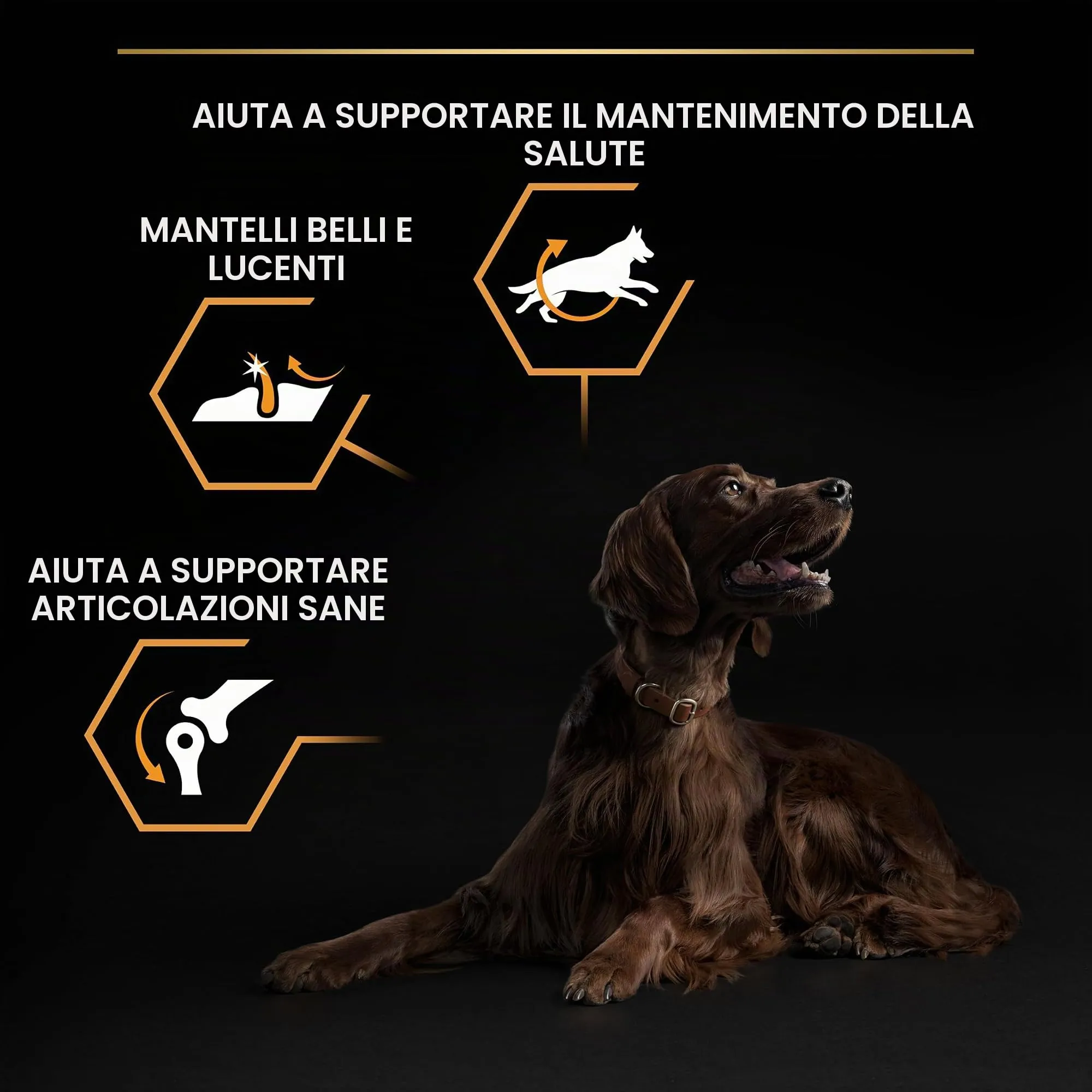 Purina Pro Plan Optibalance Large Athletic Adult Dog Food, 14 kg - immagine 5
