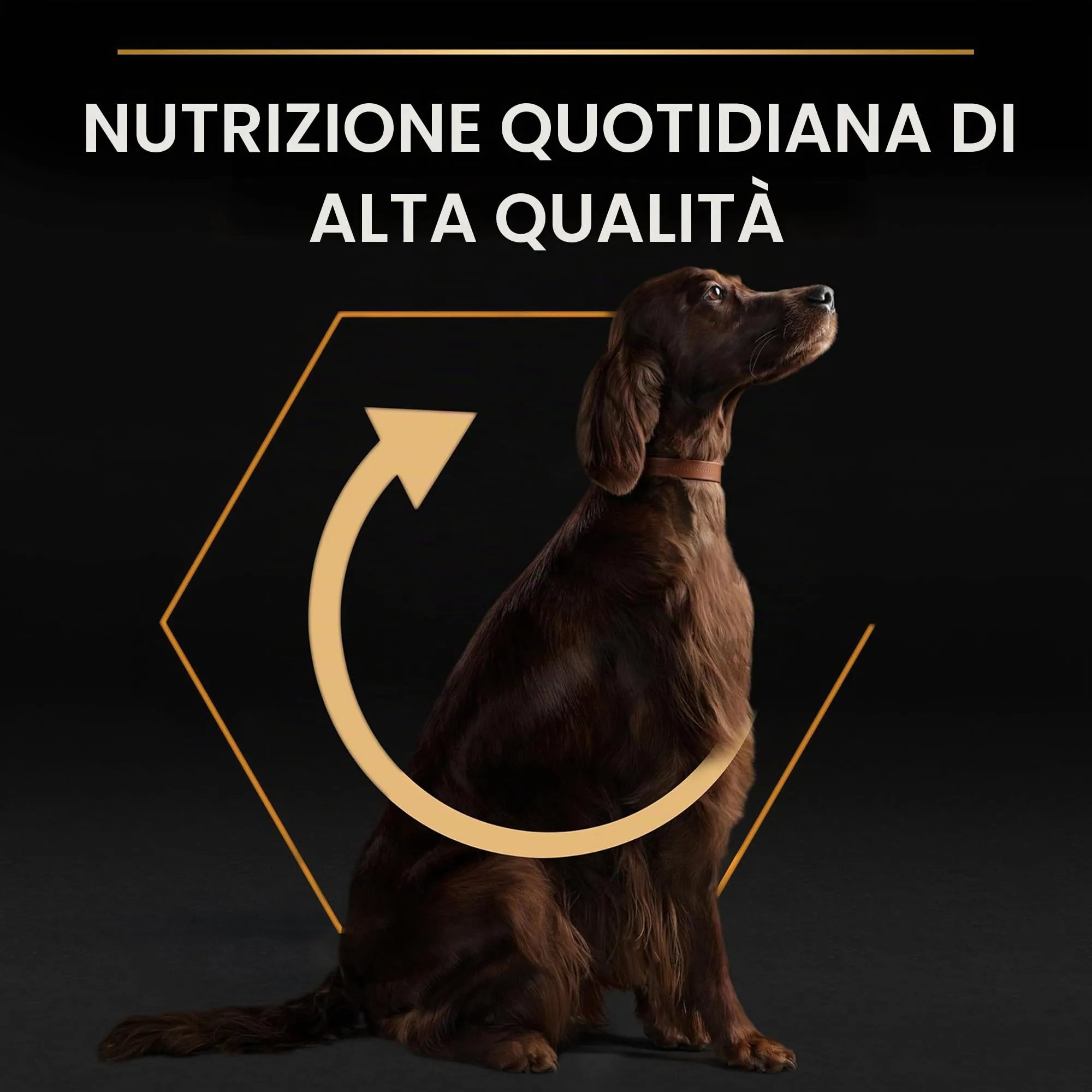 Purina Pro Plan Optibalance Large Athletic Adult Dog Food, 14 kg - immagine 8