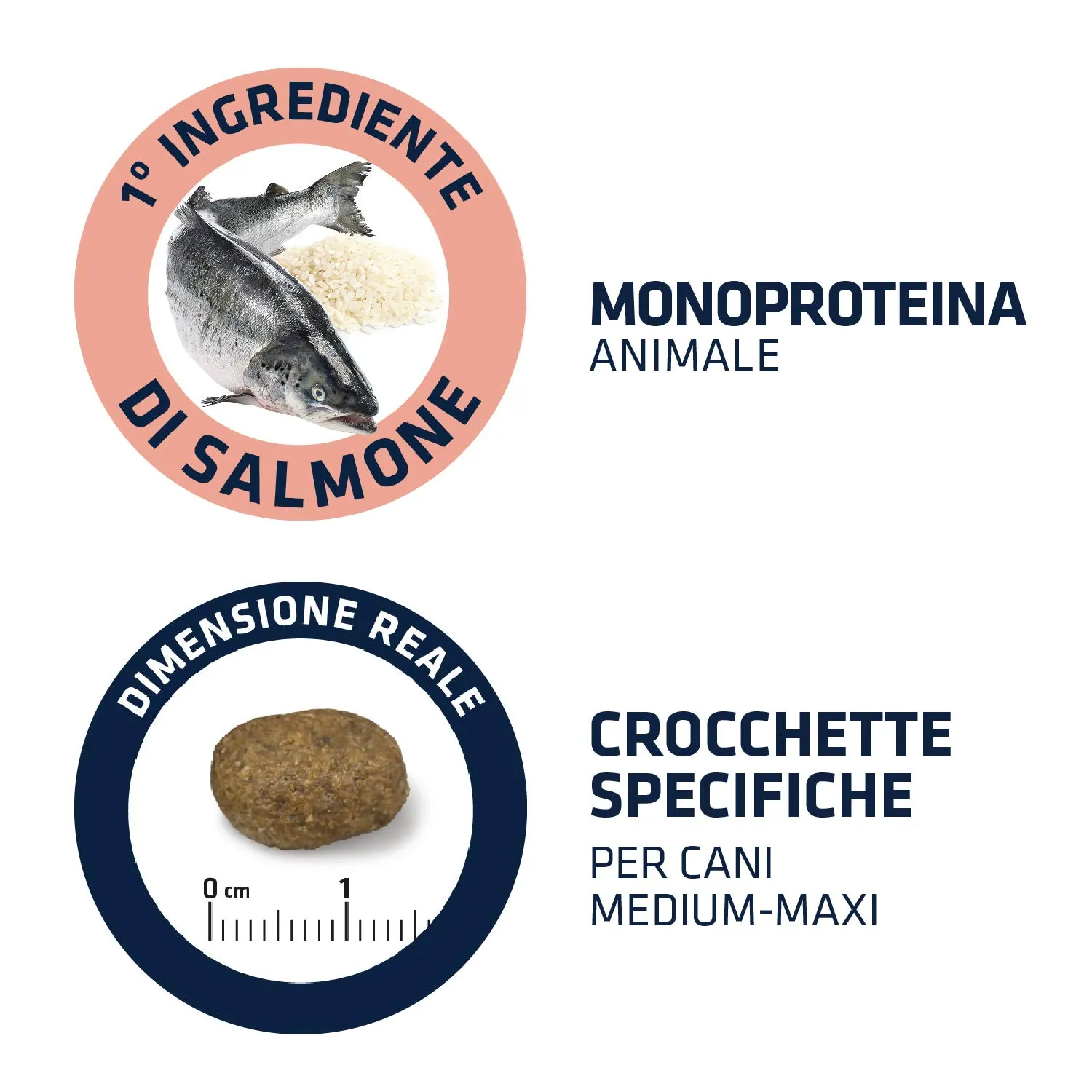 Advance Sensitive Medium-Maxi Dog Food for Digestive Sensitivity and Skin Symptoms with Salmon, 3 x 3kg (Total 9kg) - immagine 4