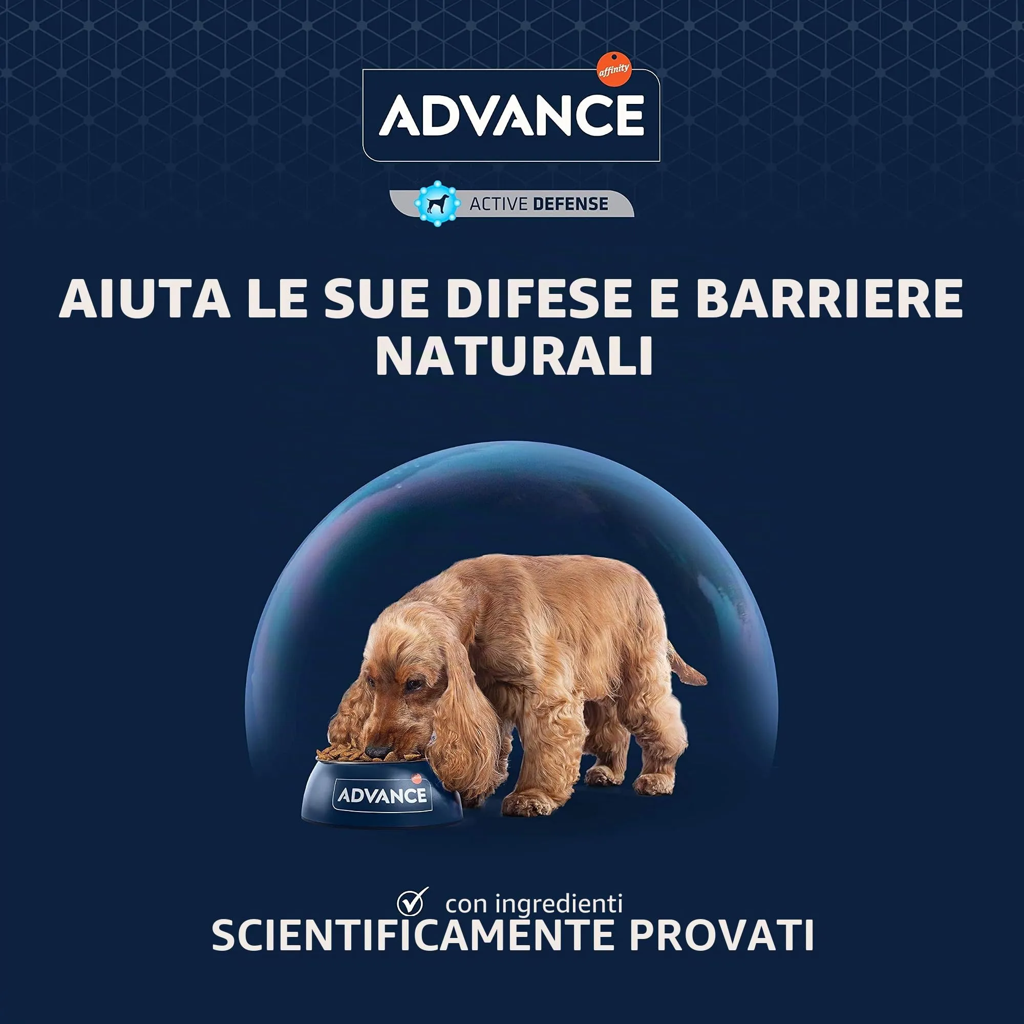 Advance Sensitive Medium-Maxi Dog Food for Digestive Sensitivity and Skin Symptoms with Salmon, 3 x 3kg (Total 9kg) - immagine 6