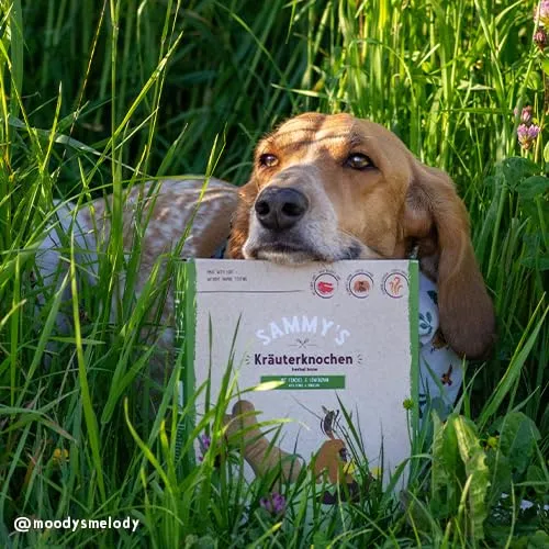 Sammy's Hundesnacks Ossa con erbe aromatiche, agnello, finocchio e dente di leone, 1 kg - immagine 2