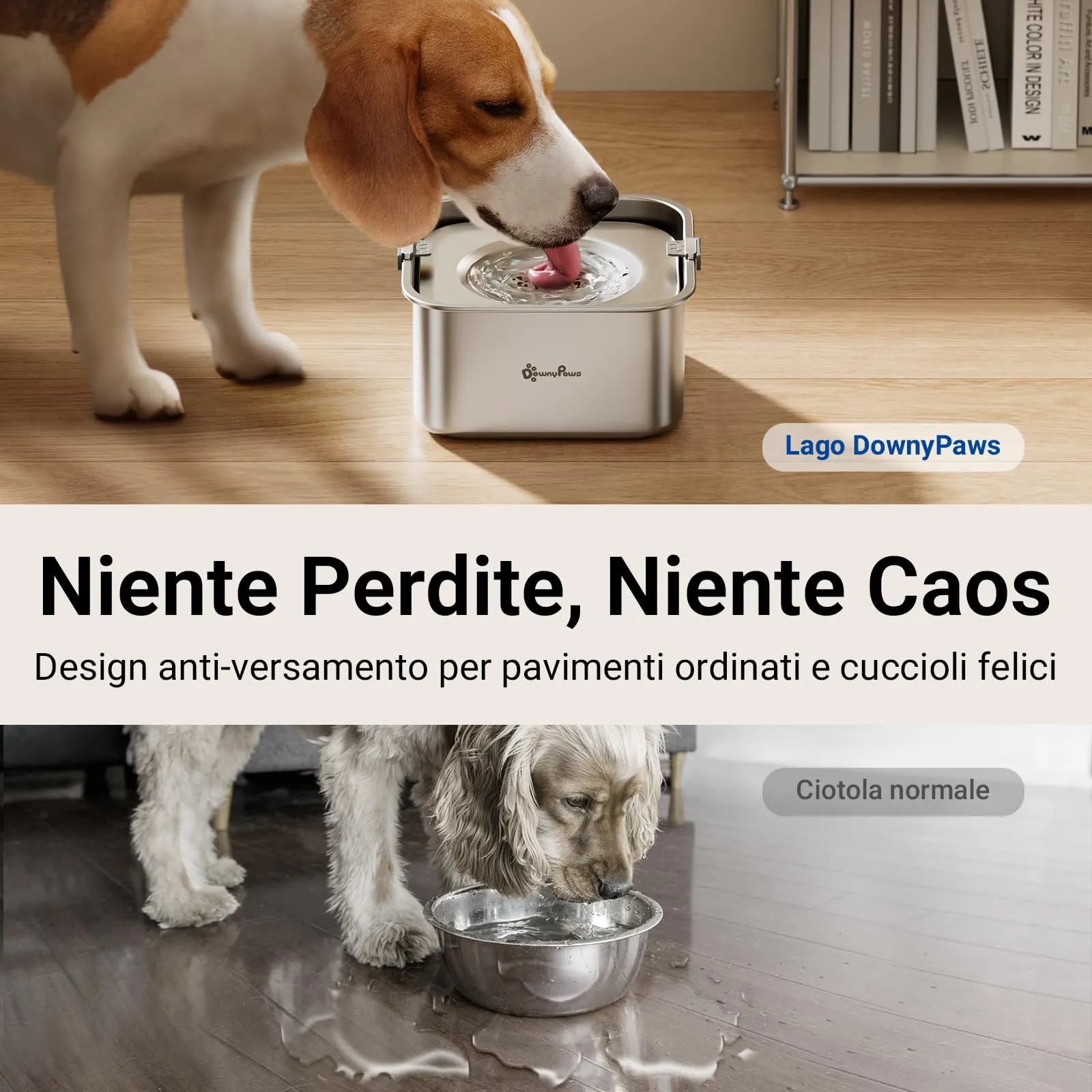 DownyPaws Ciotola Acqua Cane Antigoccia in Acciaio Inox, 3 L - immagine 2