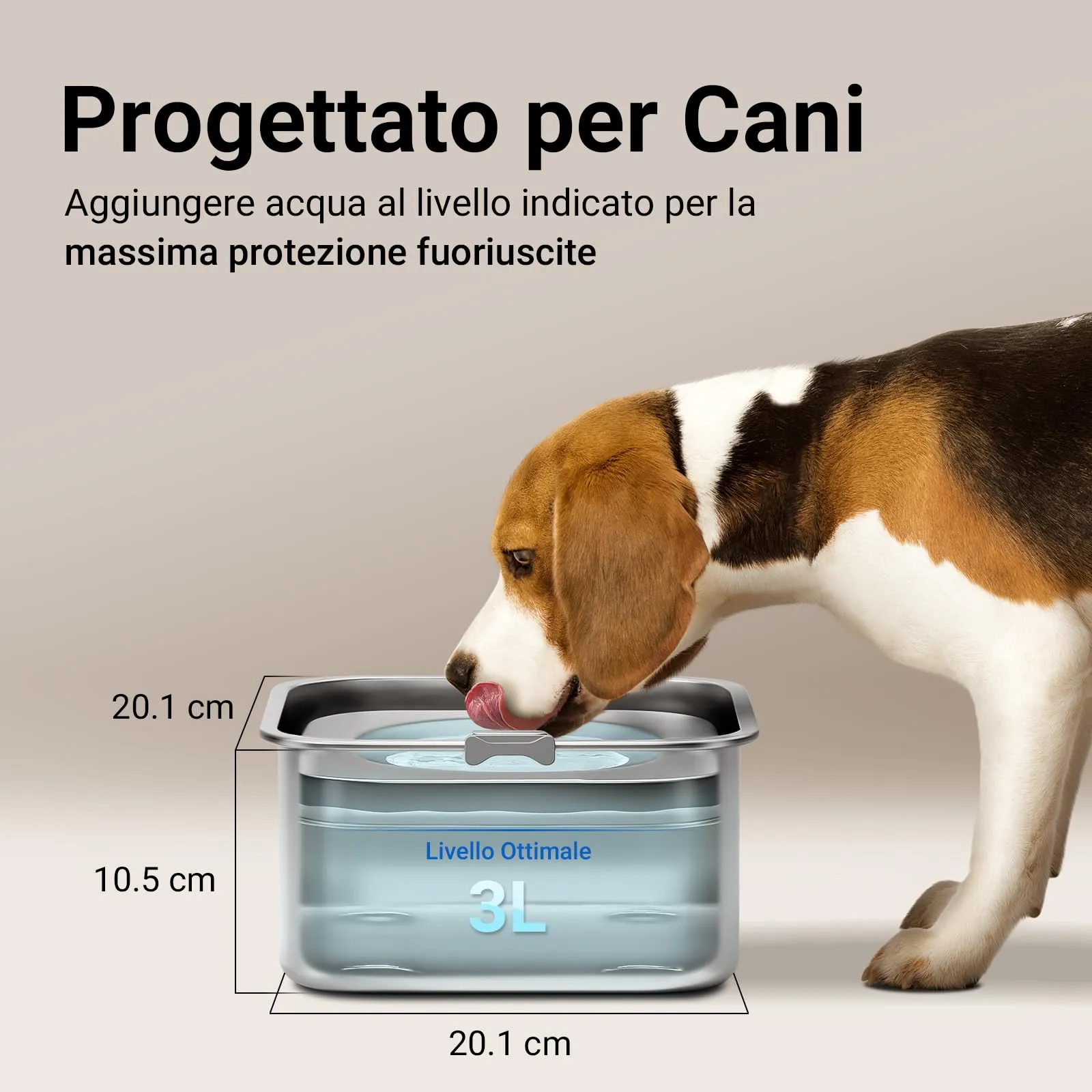 DownyPaws Ciotola Acqua Cane Antigoccia in Acciaio Inox, 3 L - immagine 3