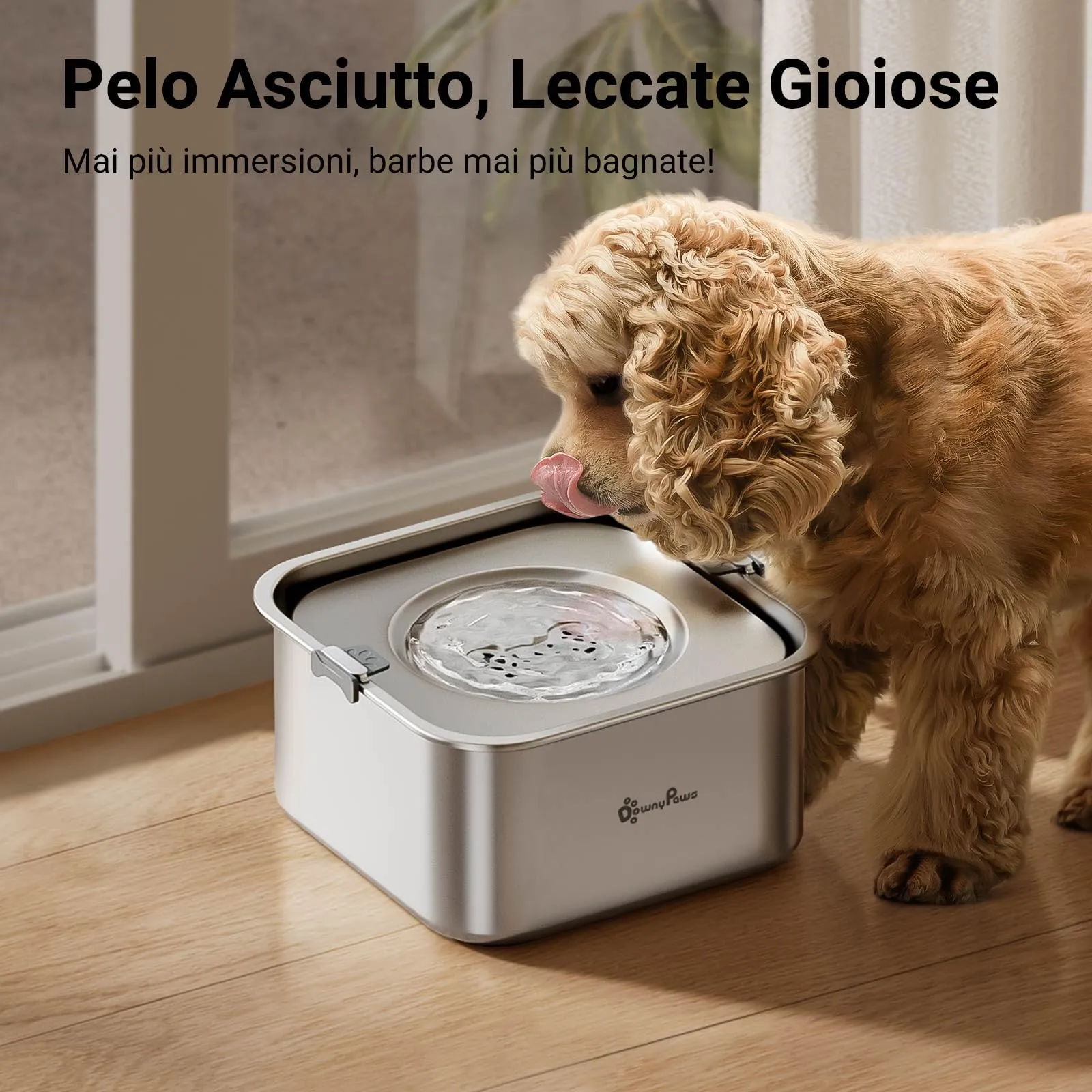 DownyPaws Ciotola Acqua Cane Antigoccia in Acciaio Inox, 3 L - immagine 5