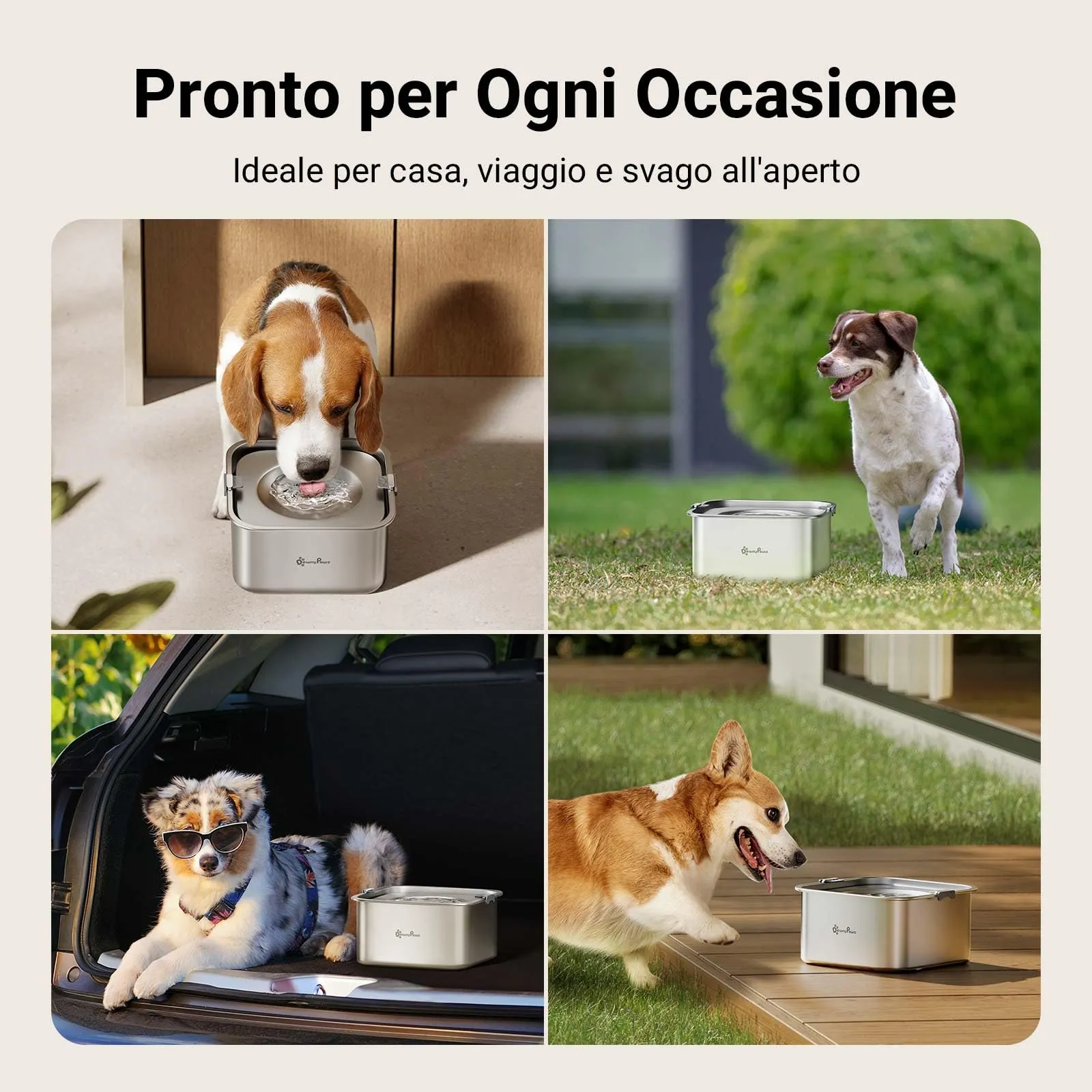DownyPaws Ciotola Acqua Cane Antigoccia in Acciaio Inox, 3 L - immagine 7