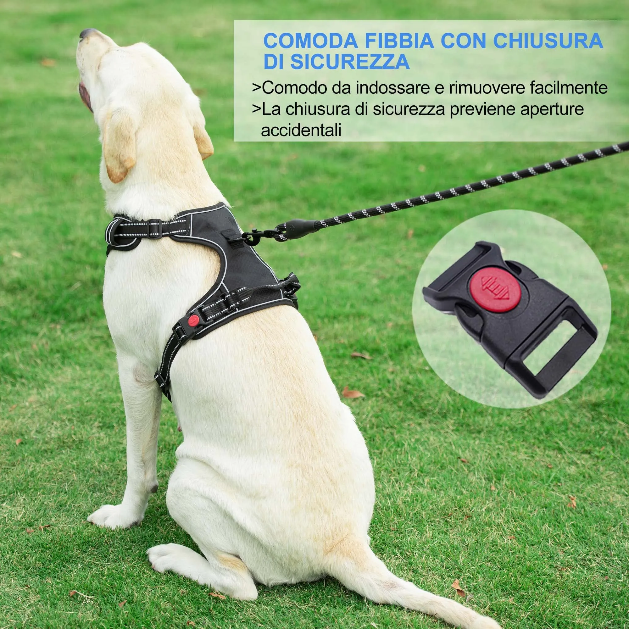 haapaw Pettorina per cani regolabile riflettente in Oxford con Guinzaglio, Taglia XL, Blu - immagine 4