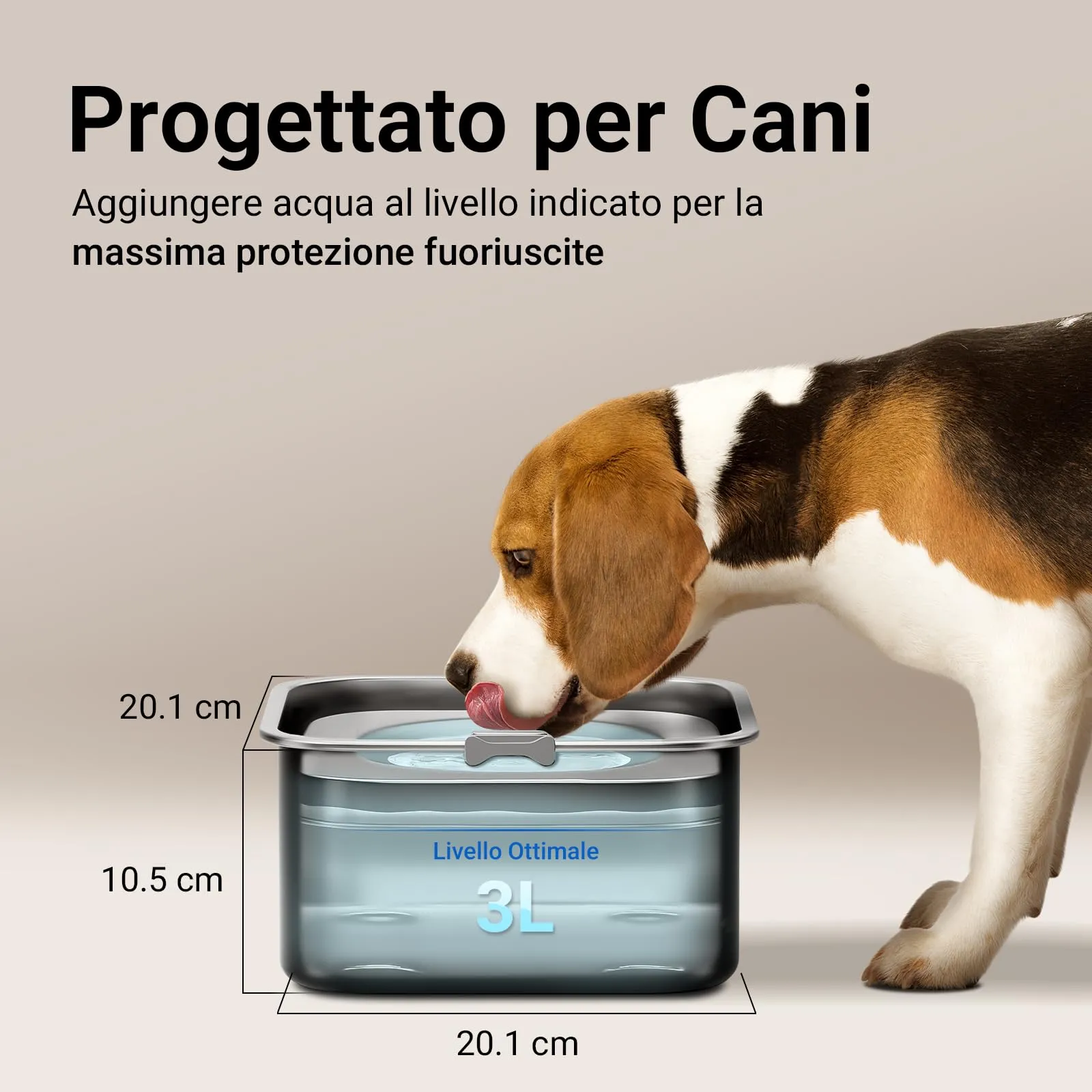 DownyPaws Ciotola Acqua Cane Antigoccia in Acciaio Inox, 3 L, Nero - immagine 3