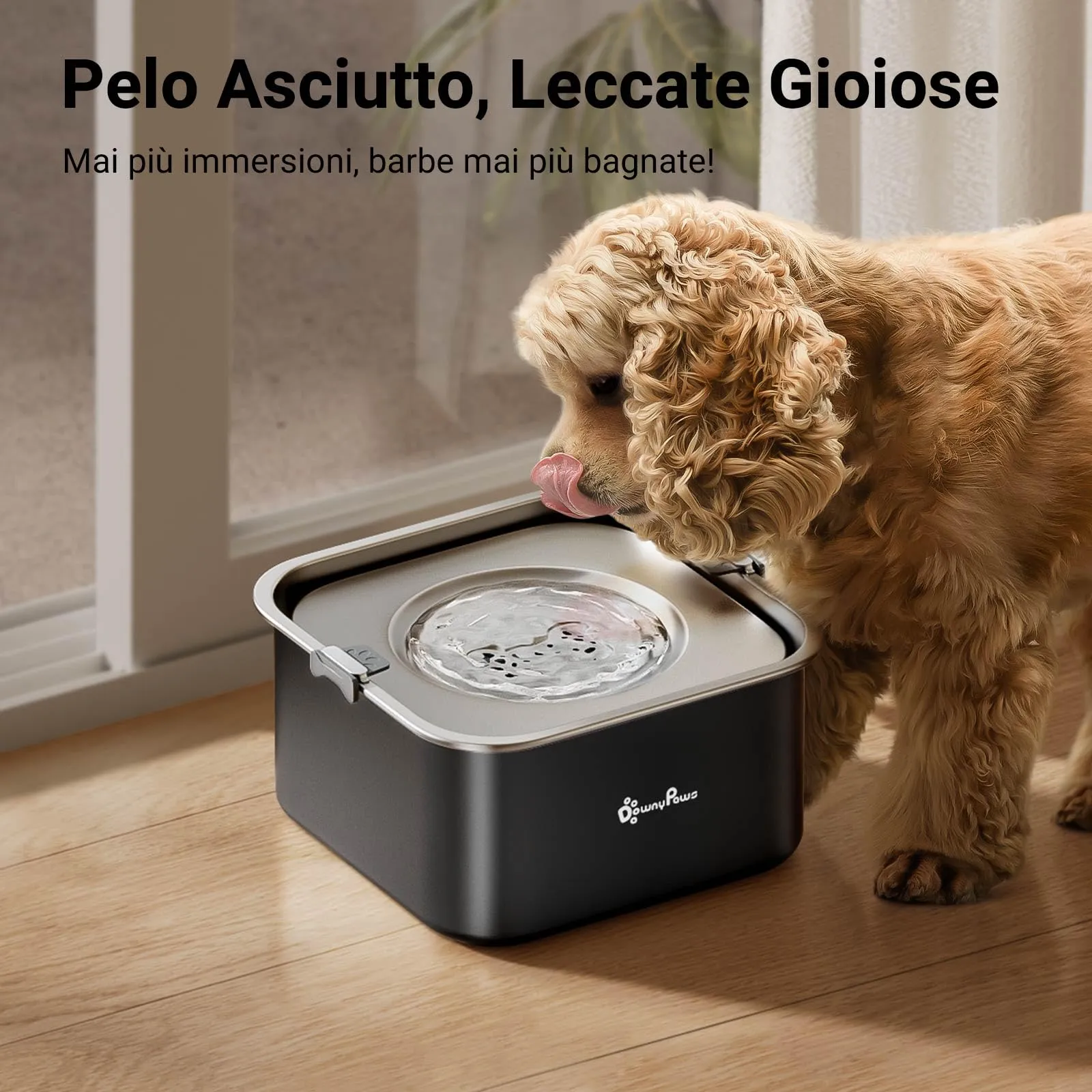 DownyPaws Ciotola Acqua Cane Antigoccia in Acciaio Inox, 3 L, Nero - immagine 5
