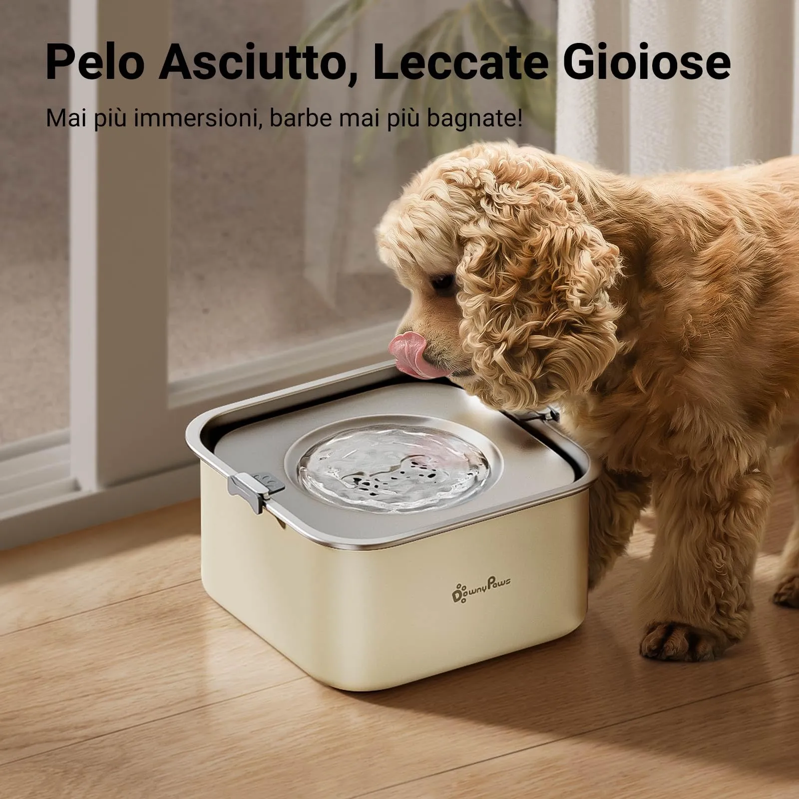 DownyPaws Ciotola Acqua Cane Antigoccia in Acciaio Inox, 3 L, Beige - immagine 5