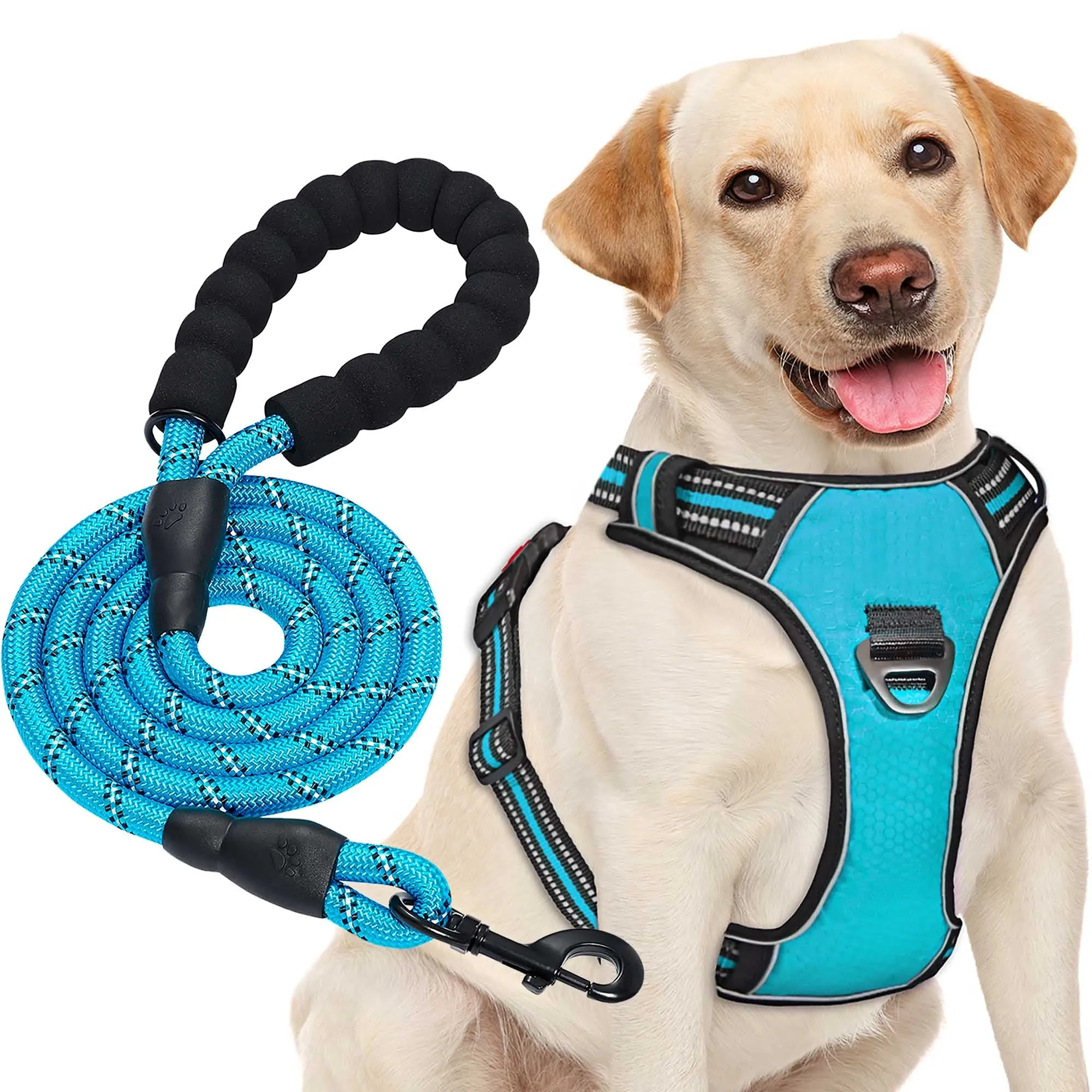 haapaw Pettorina per cani regolabile riflettente in Oxford con Guinzaglio, Taglia L, Blu - immagine 1