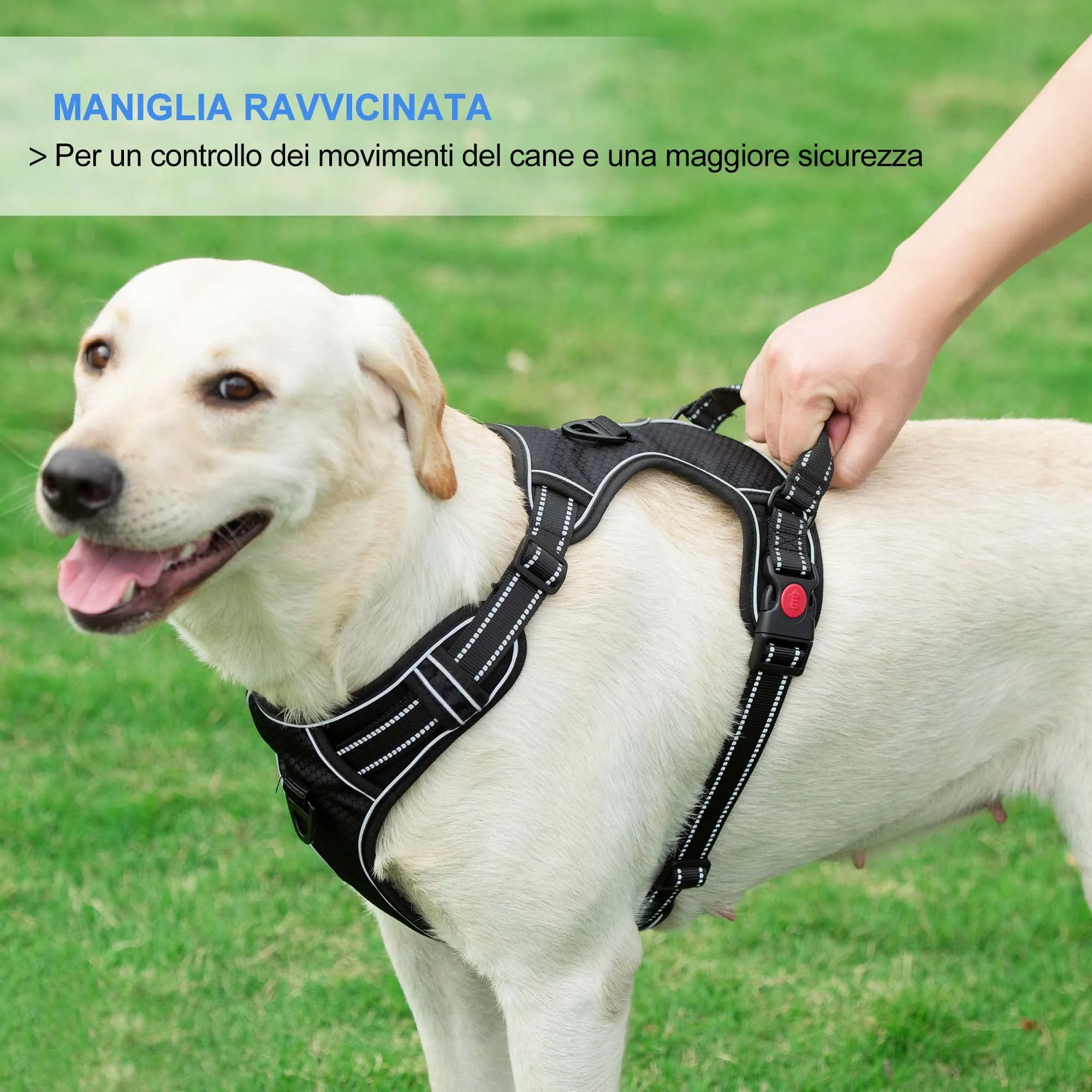 haapaw Pettorina Riflettente in Oxford con Guinzaglio per Cani di Taglia Media e Grande - immagine 4
