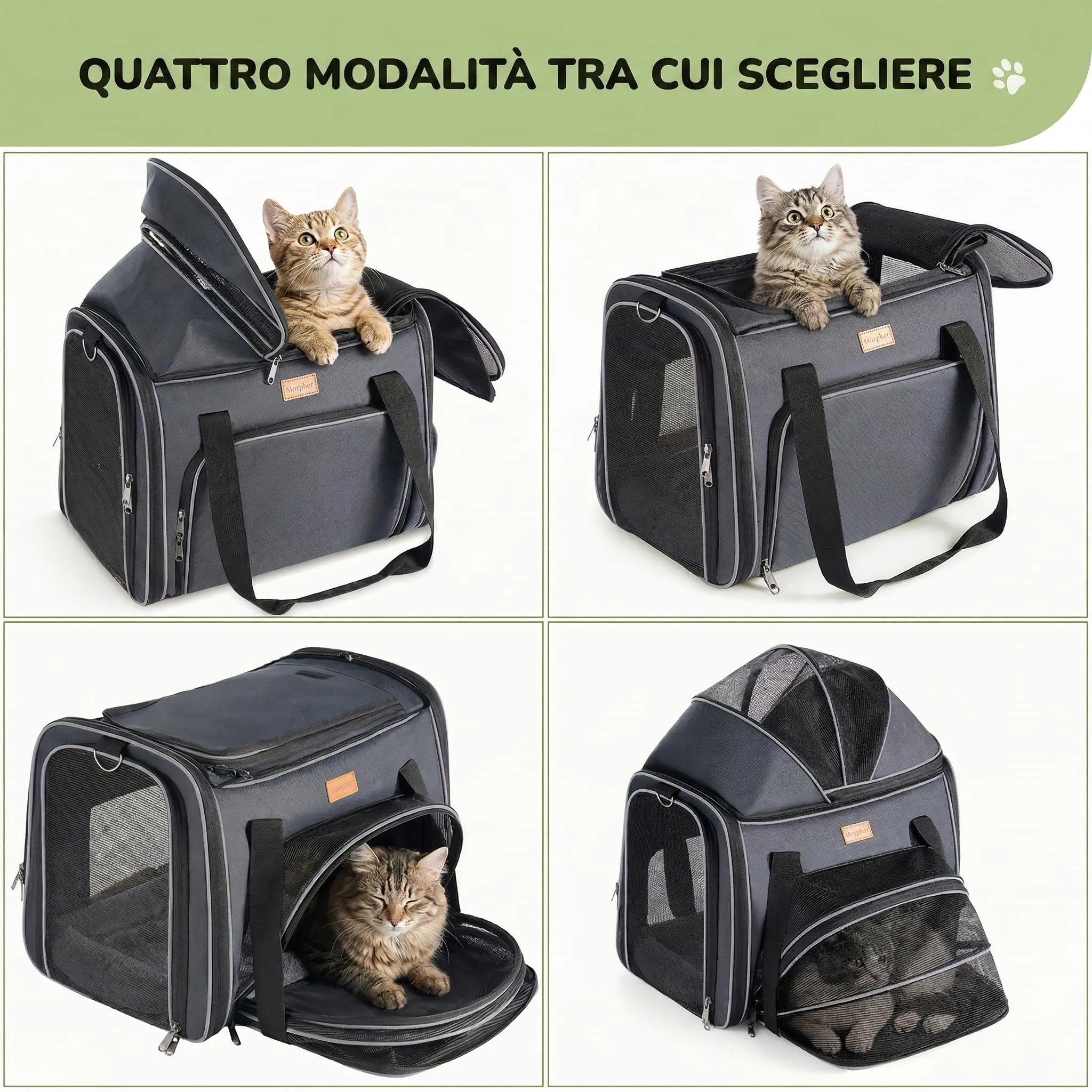 Morpilot Trasportino per Gatti e Cani fino a 7 kg, Pieghevole ed Espandibile, 44x31x34 cm, Grigio Argento - immagine 6