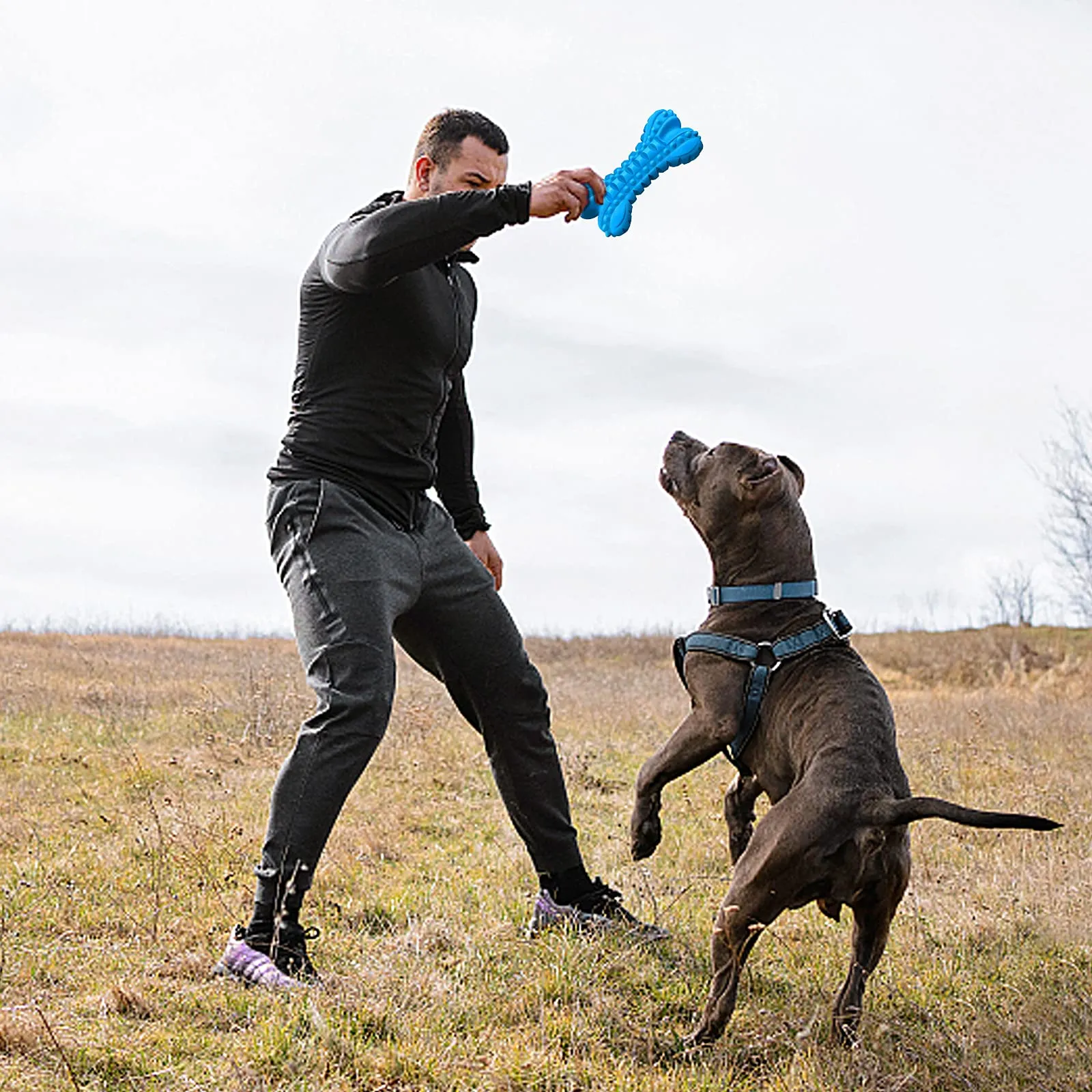 LEGEND SANDY Giocattoli in Gomma per Cani di Razza Grande, Ossa Resistenti con Squeaker per Masticatori Aggressivi - immagine 8