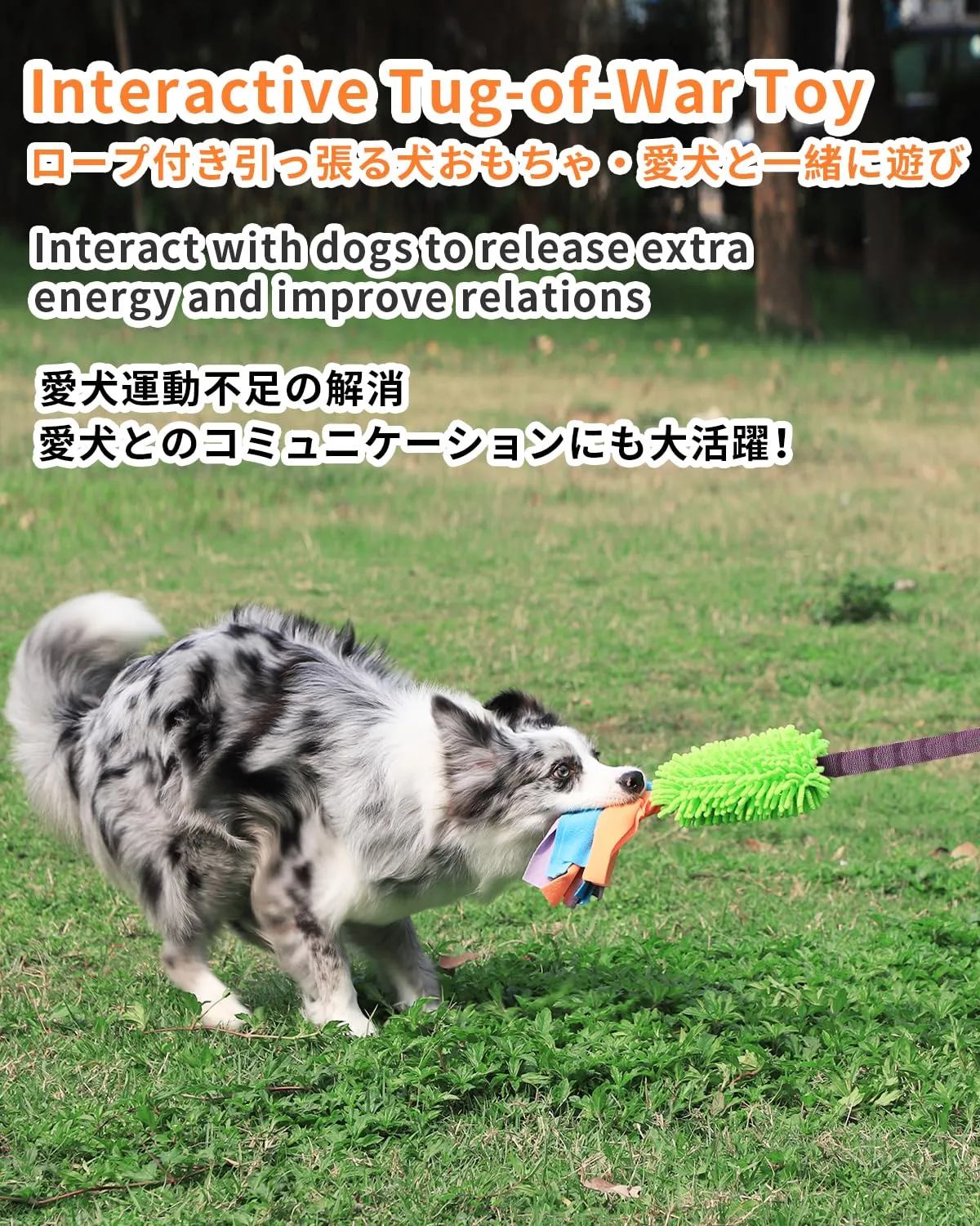 SCHITEC Giocattolo Corda Elastica per Tiro Alla Fune con Squeaky per Cani, Set da 2 Pezzi - immagine 2
