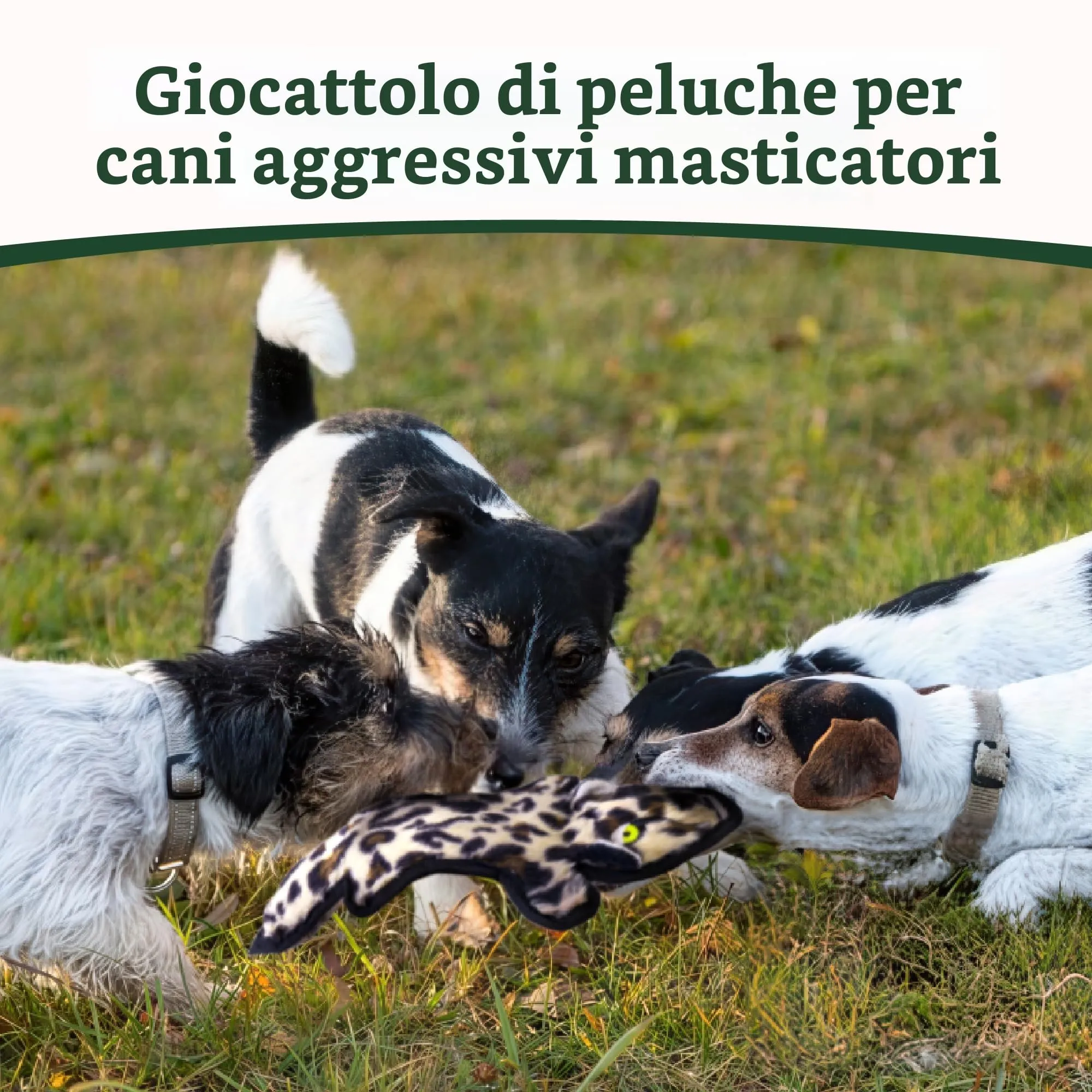 SHARLOVY Giocattoli per cani increspati, set da 5 pezzi per masticatori aggressivi e cuccioli - immagine 2