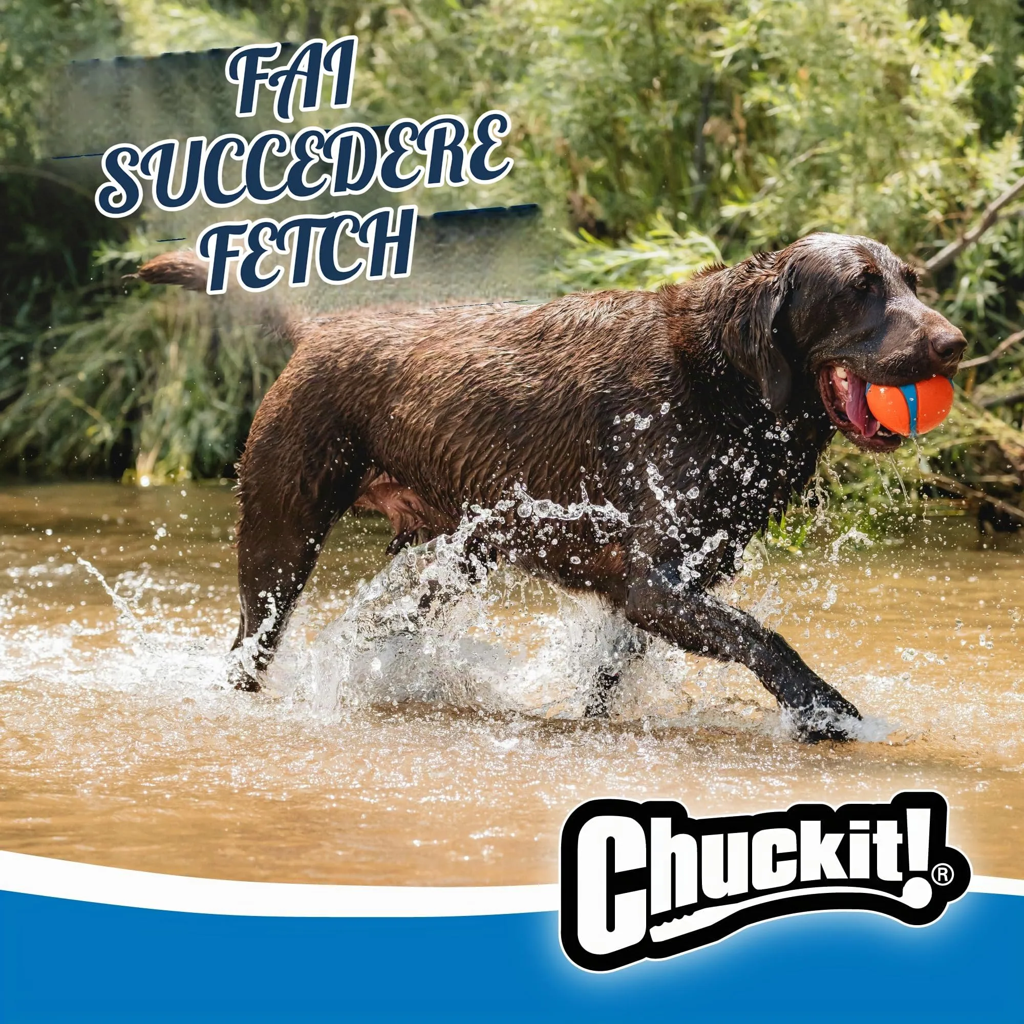 Chuckit! Ultra Ball XXL, 10 cm, 1 pezzo - immagine 5