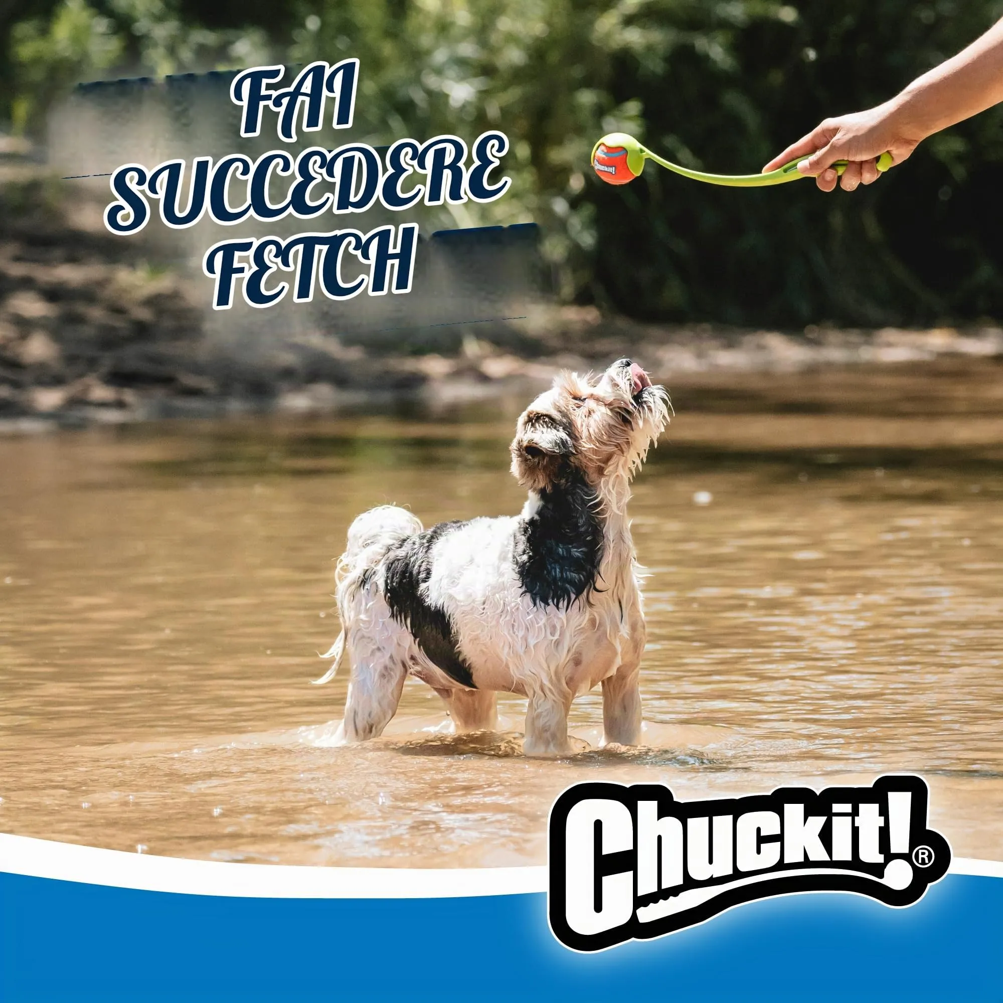 Chuckit! Lancia-palline per cani con pallina da tennis, Small 36 cm - immagine 4