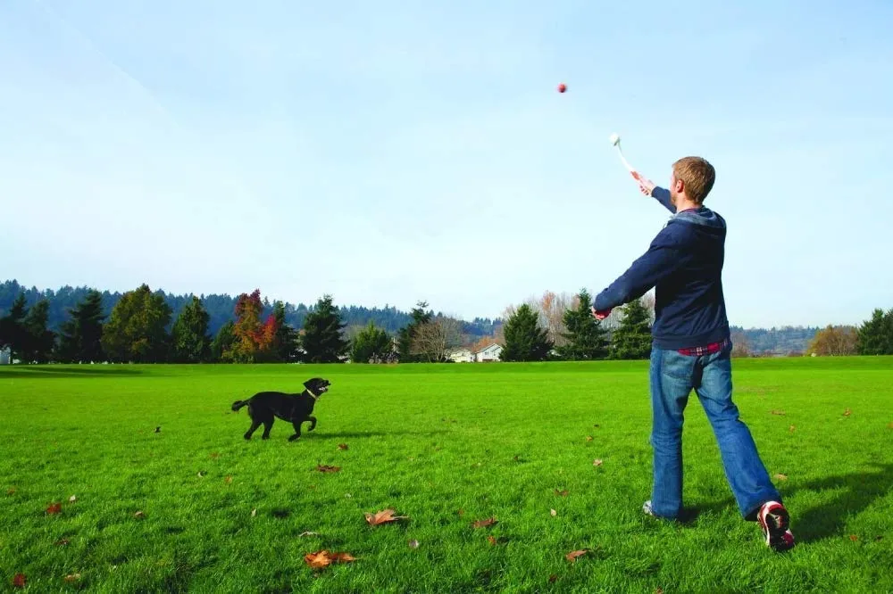 Chuckit! Lanciatore di palline per cani, Sport 14S - 2PK - immagine 7