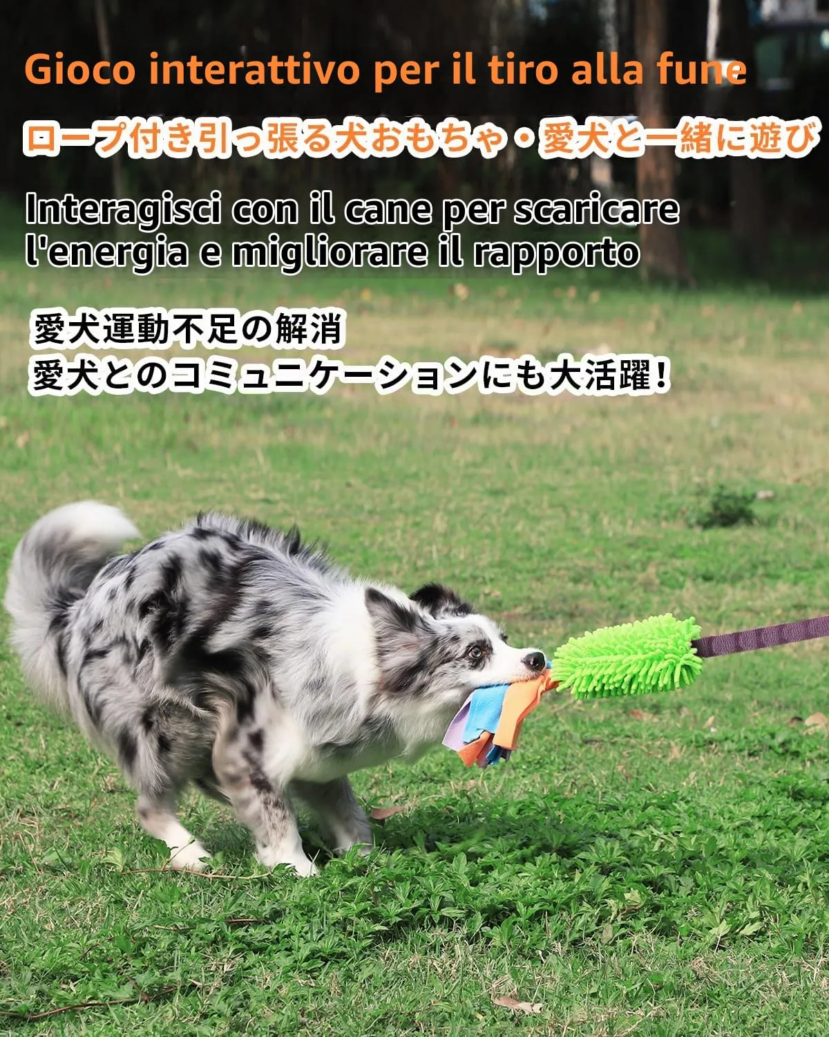 SCHITEC Giocattolo per Rimorchiatore Interattivo per Cani con Corda Elastica e Squittio, CW-0107 - immagine 2