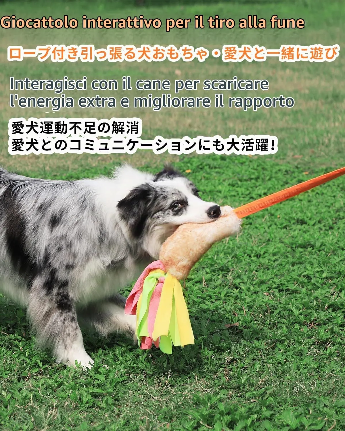 SCHITEC Corda Elastica per Tiro Alla Fune con Squeaky per Cani di Taglia Piccola, Media e Grande, CW-0107 - immagine 2