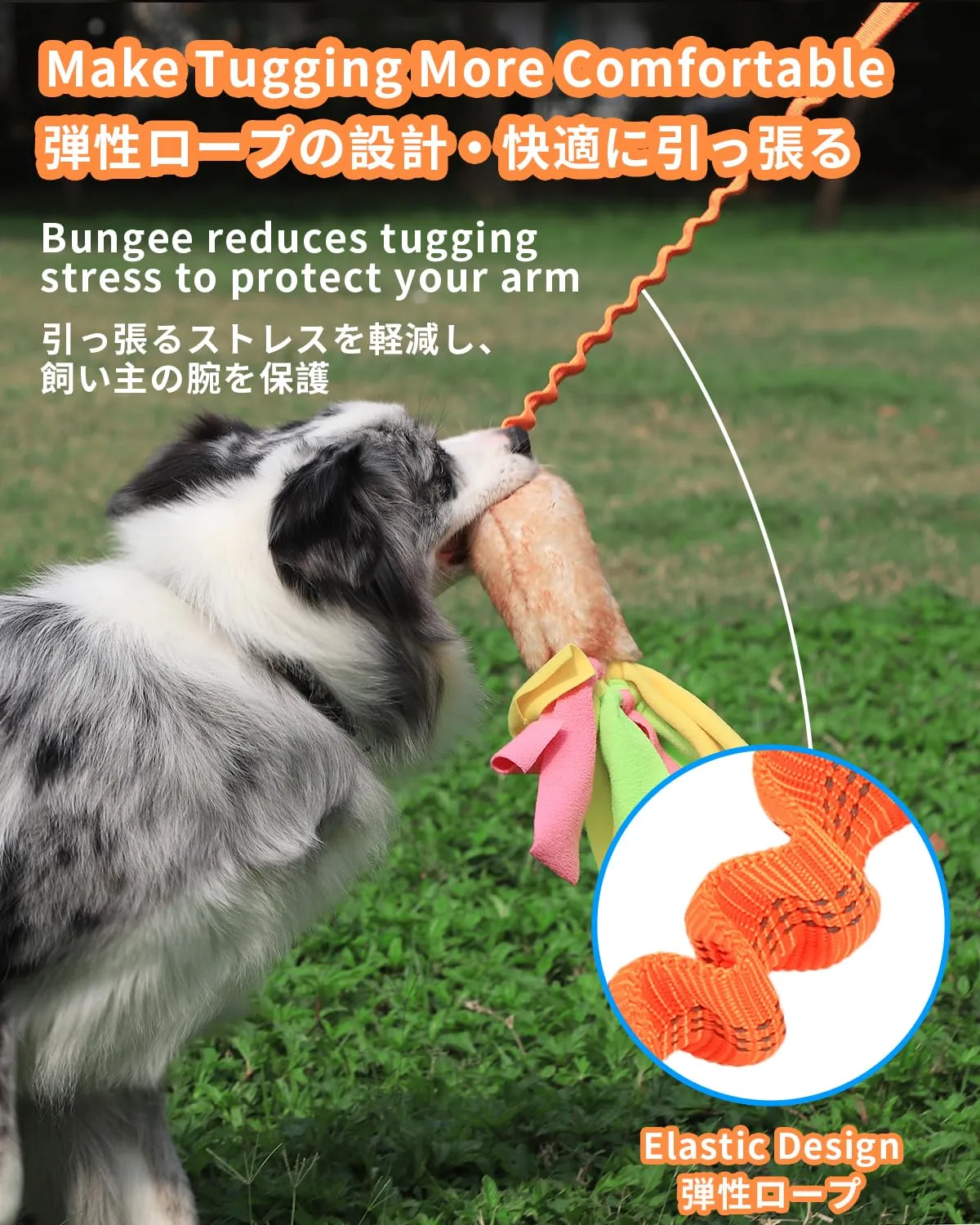 SCHITEC Corda Elastica per Tiro Alla Fune con Squeaky per Cani di Taglia Piccola, Media e Grande, CW-0107 - immagine 3