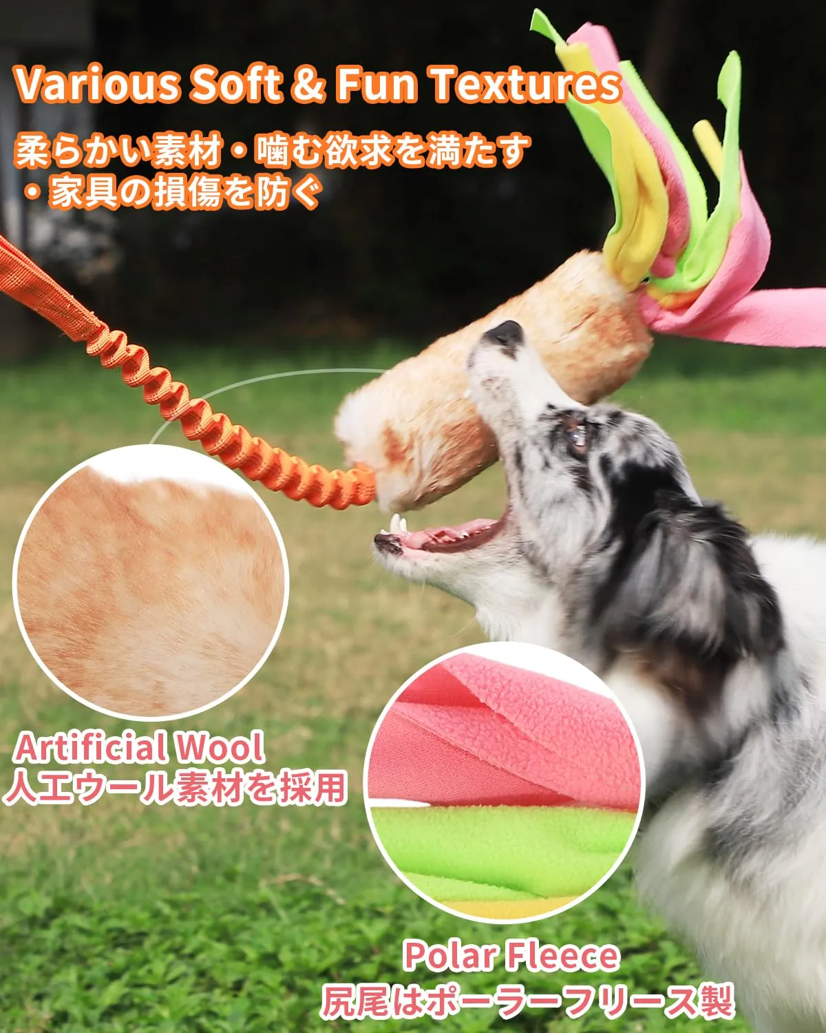SCHITEC Corda Elastica per Tiro Alla Fune con Squeaky per Cani di Taglia Piccola, Media e Grande, CW-0107 - immagine 5