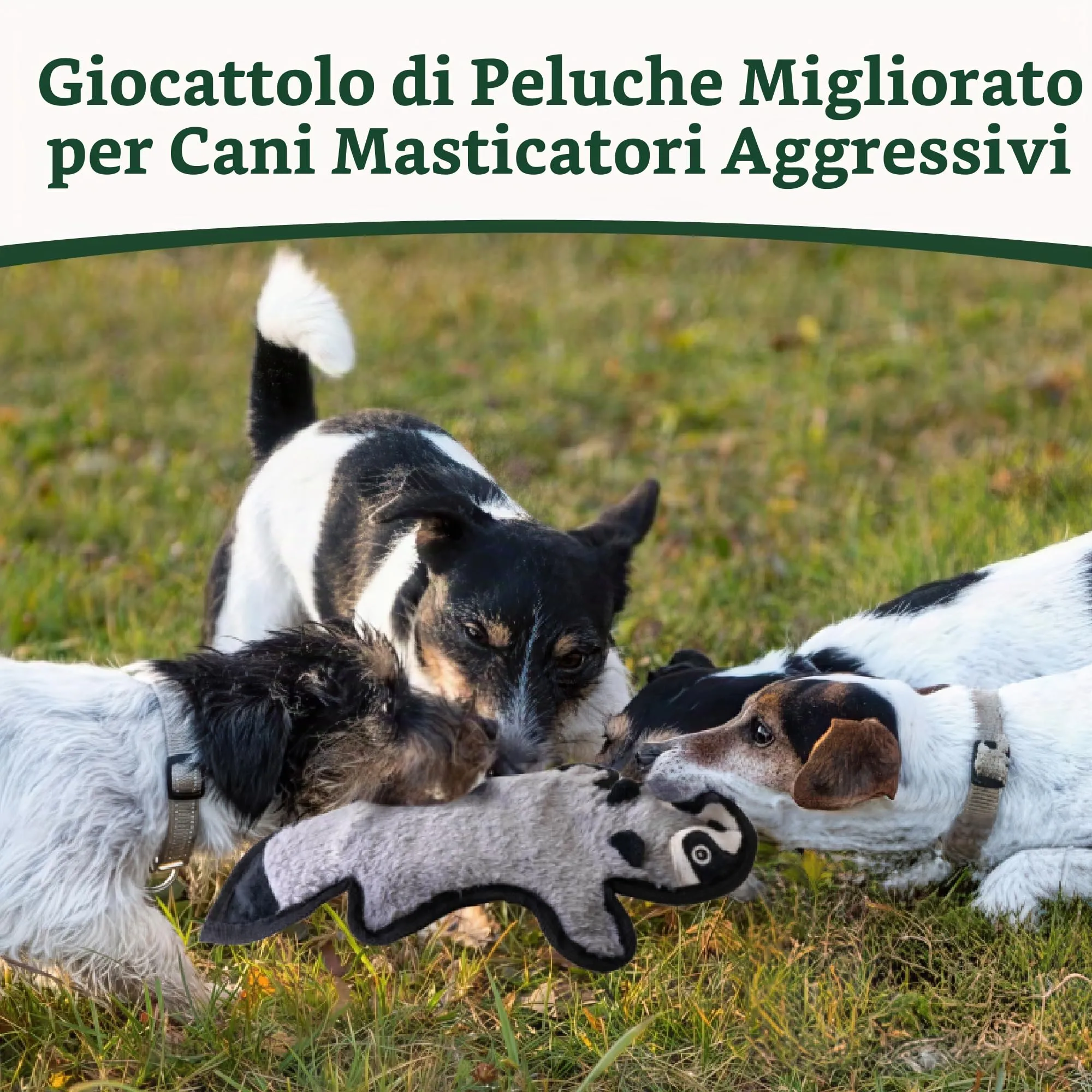 SHARLOVY Raccoon - Giocattolo per cani cigolante e crepitante, resistente per masticatori aggressivi, senza imbottitura, Small - immagine 2