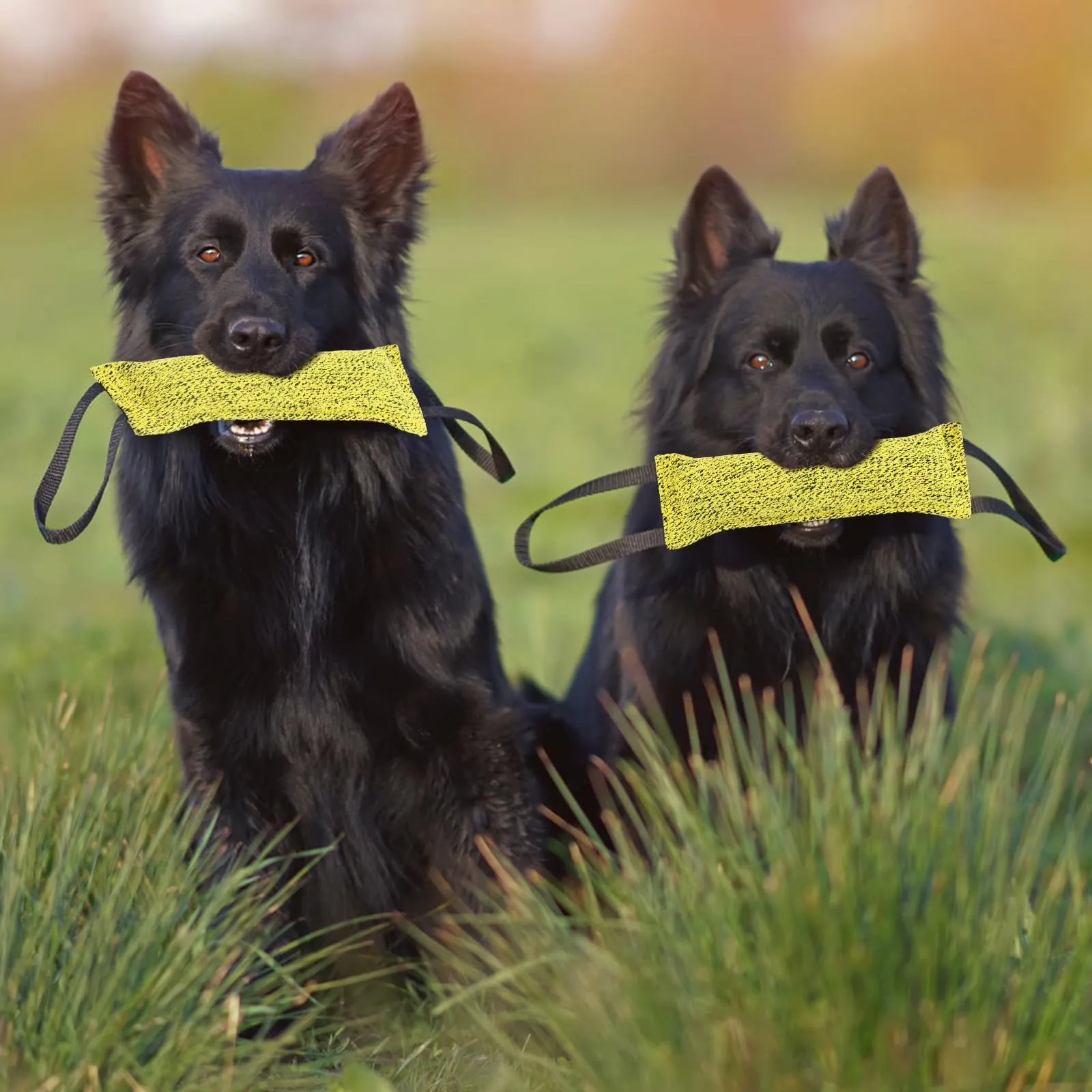 Ziyonix Manicotto per Cani 30cm con 2 Maniglie, Set da 2 Pezzi - immagine 4